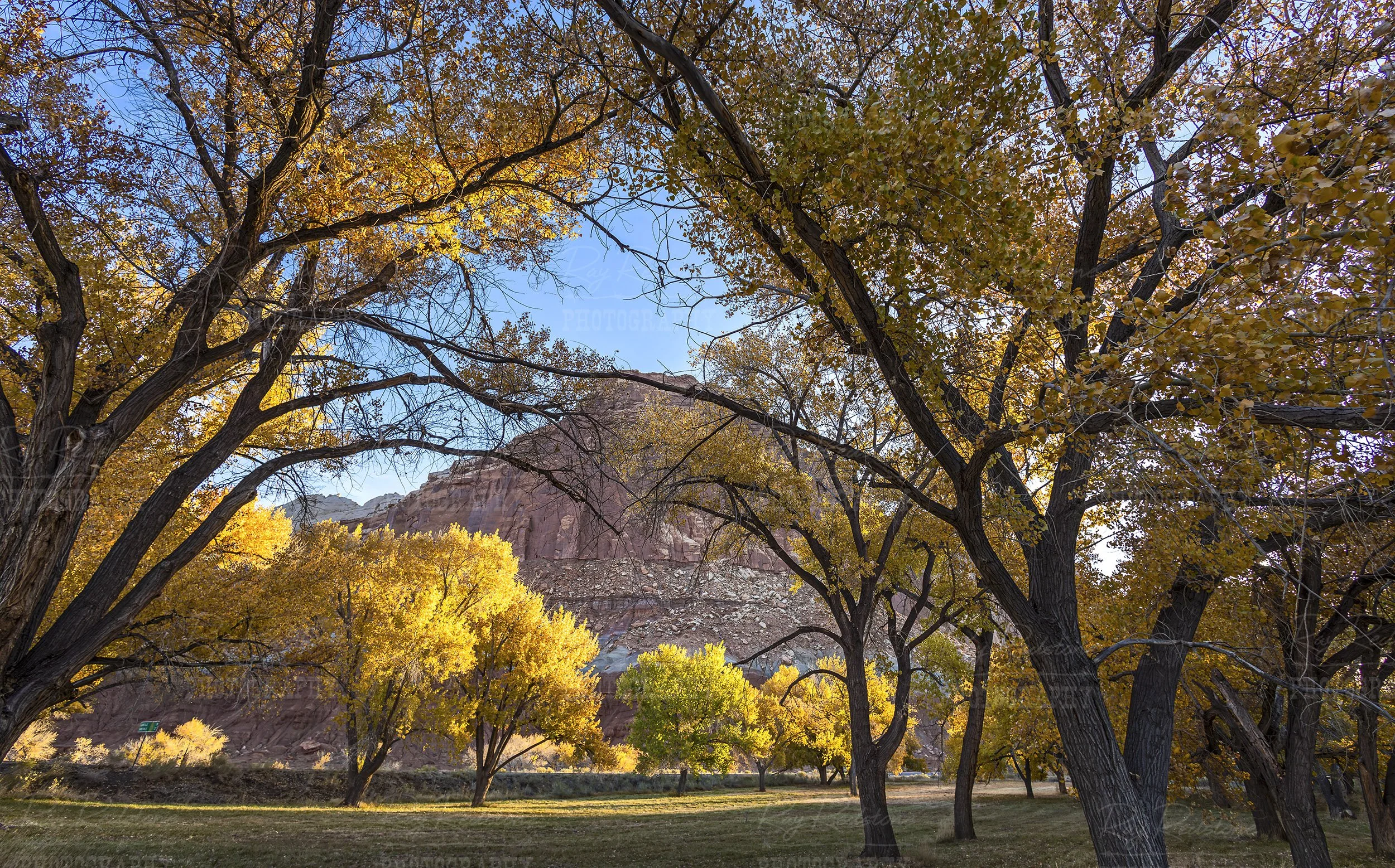 Fall Time In Capitol Reef National Park Utah