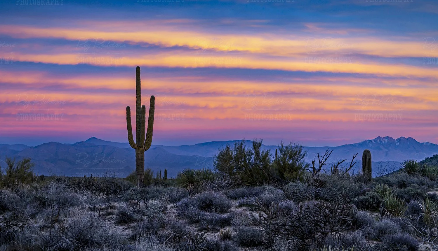 Sunset time in North Scottsdale 