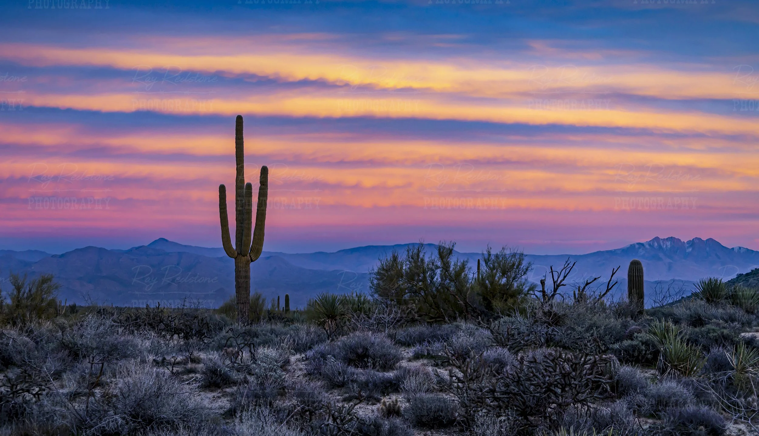 Saguaro Cactus With Colorful Skies At Dusk
