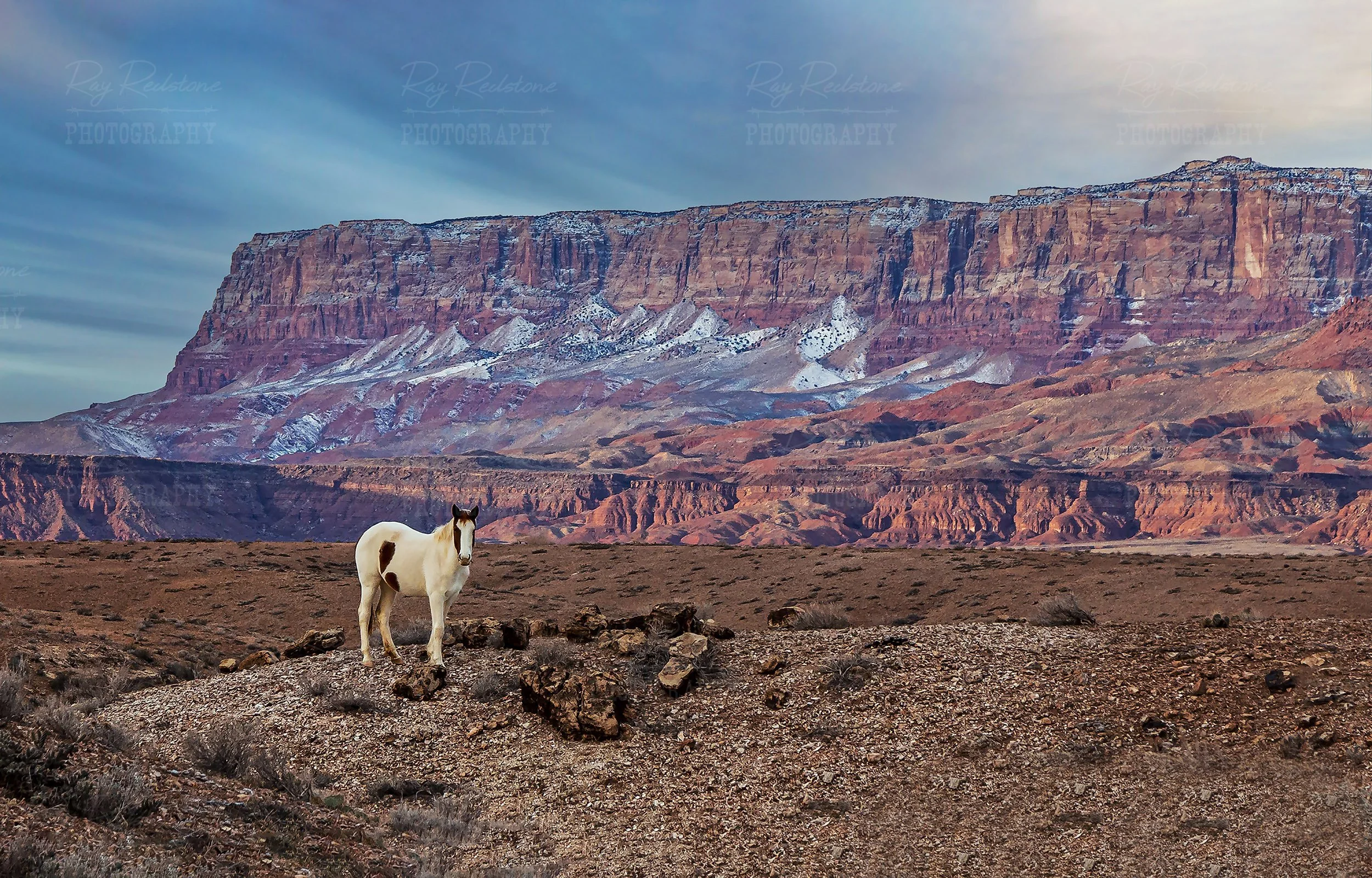 Vermilion Cliffs In Arizona With Navajo Horse