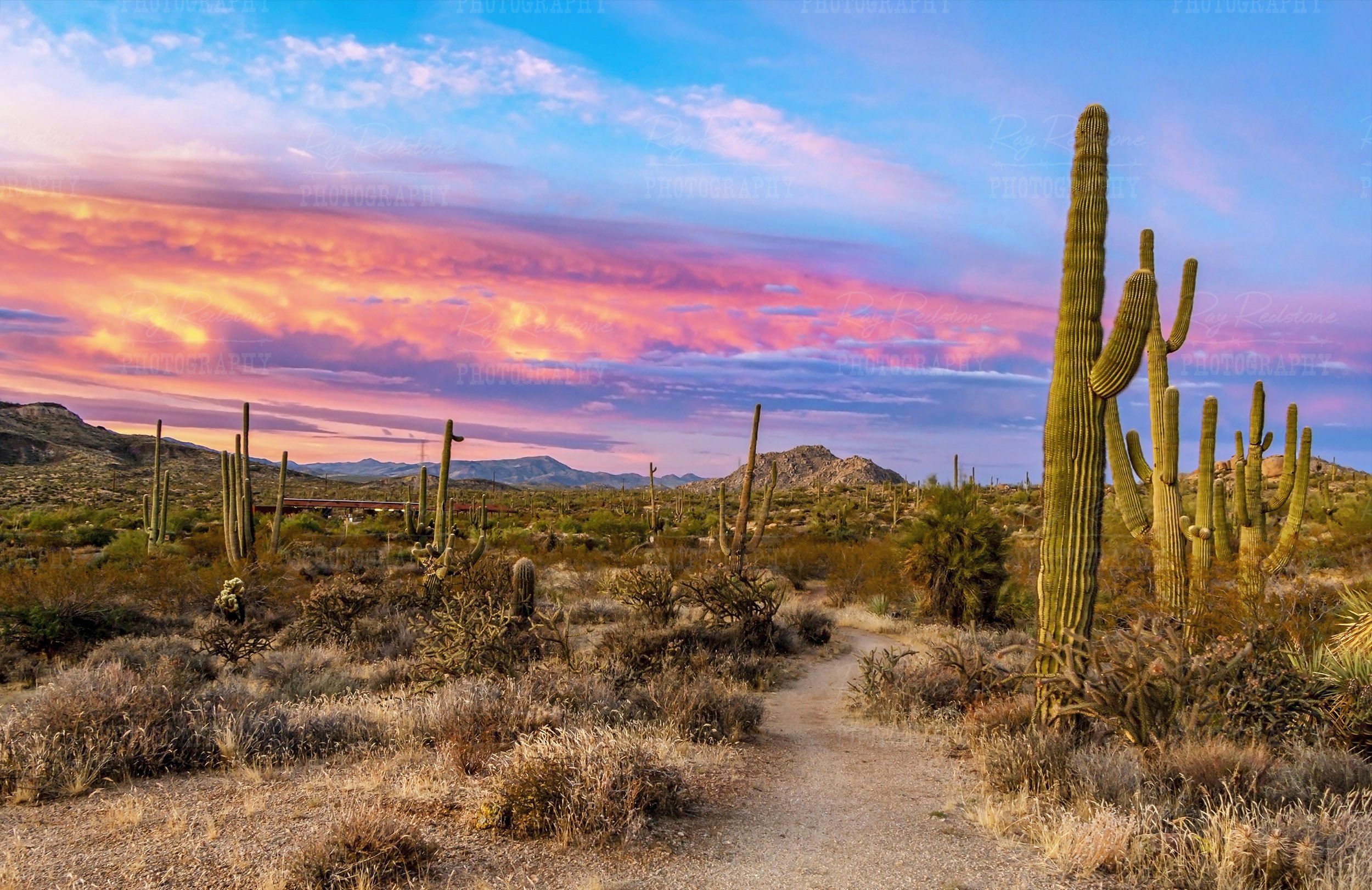 Sunset On Desert Trail