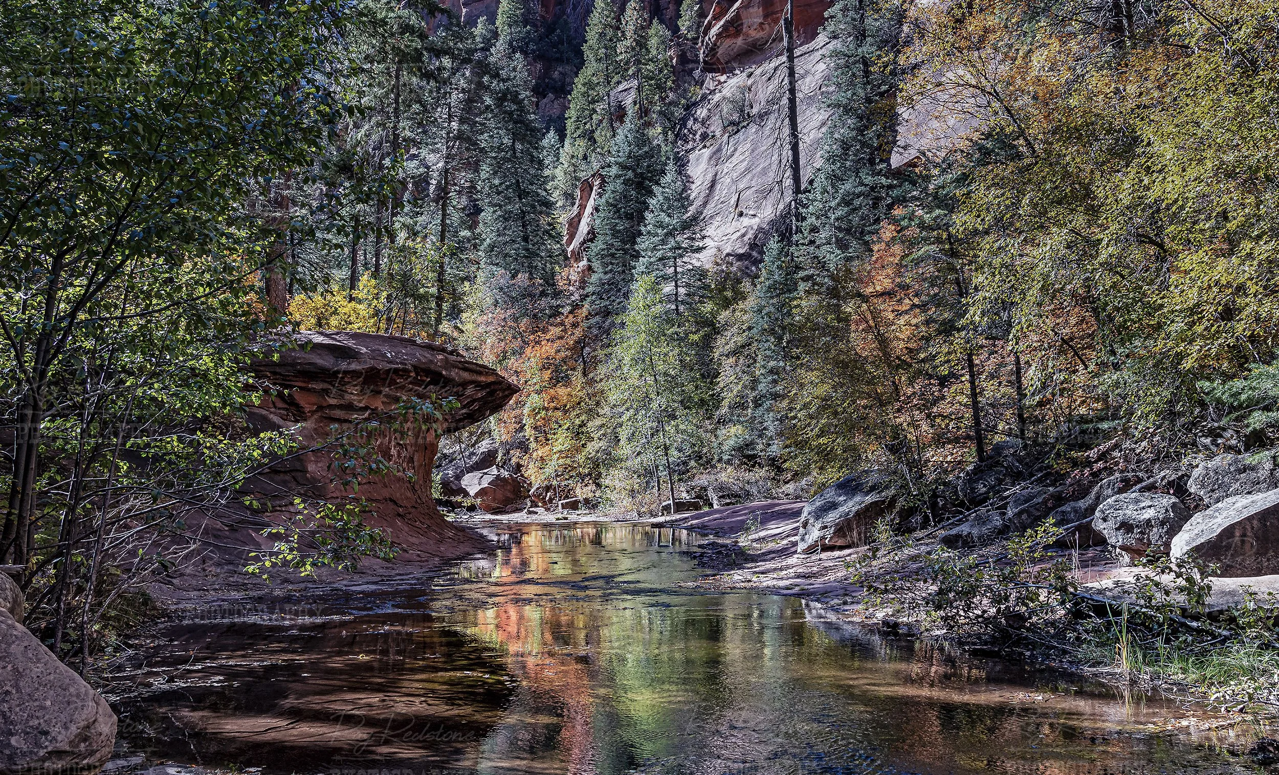 West Fork Of Oak Creek During Fall