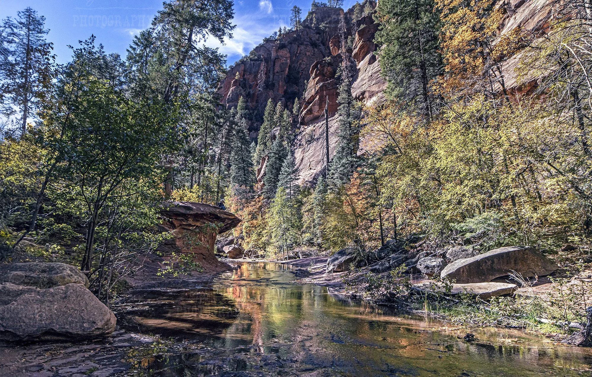 West Fork Of Oak Creek During Fall
