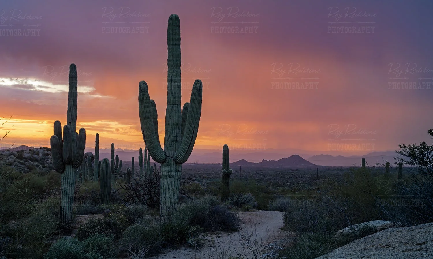 orange-sunset-skies-scottsdale-IMG_9688-1500.jpg