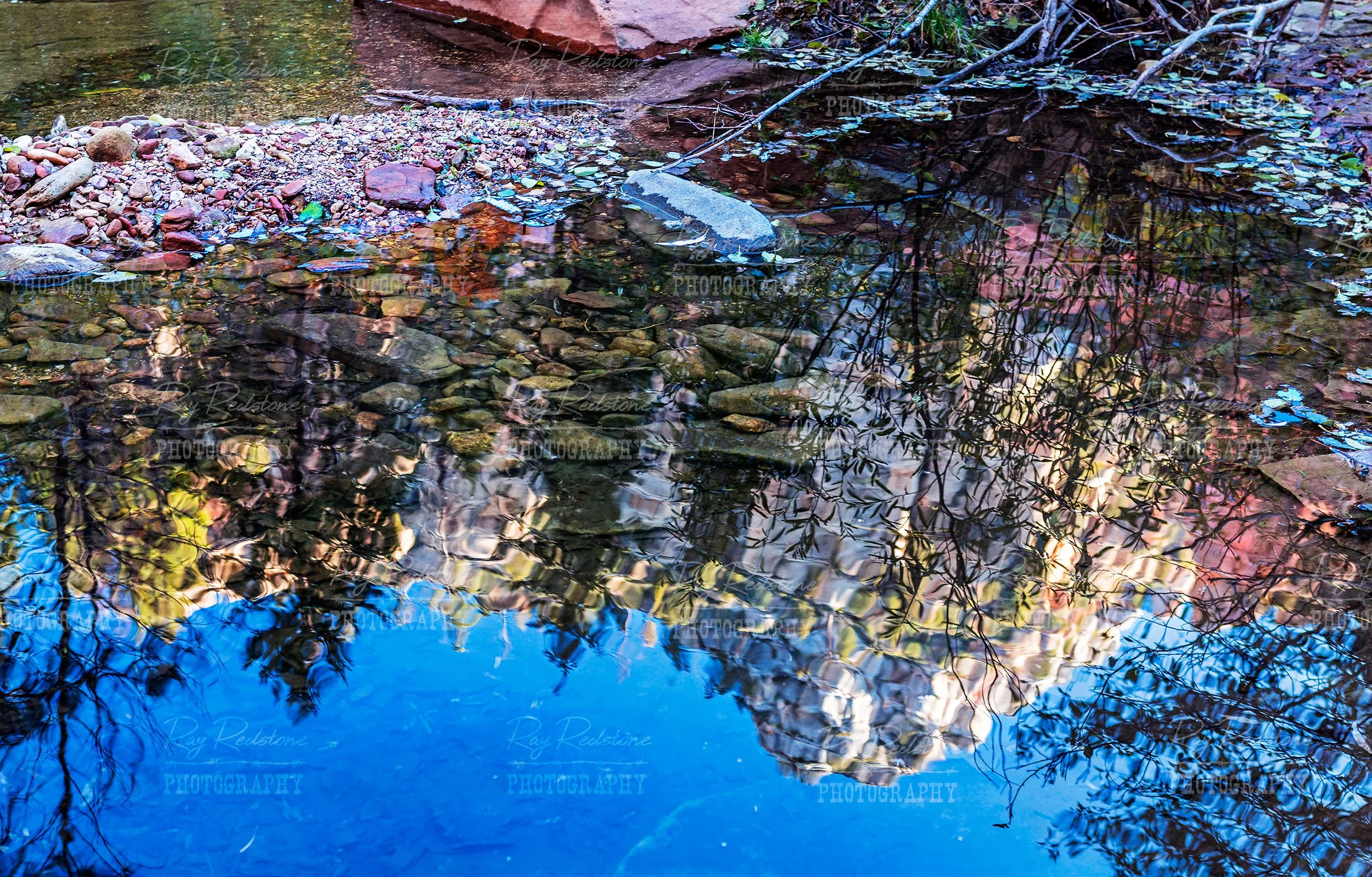 Vibrant Reflection On The West Fork Of Oak Creek In Sedona