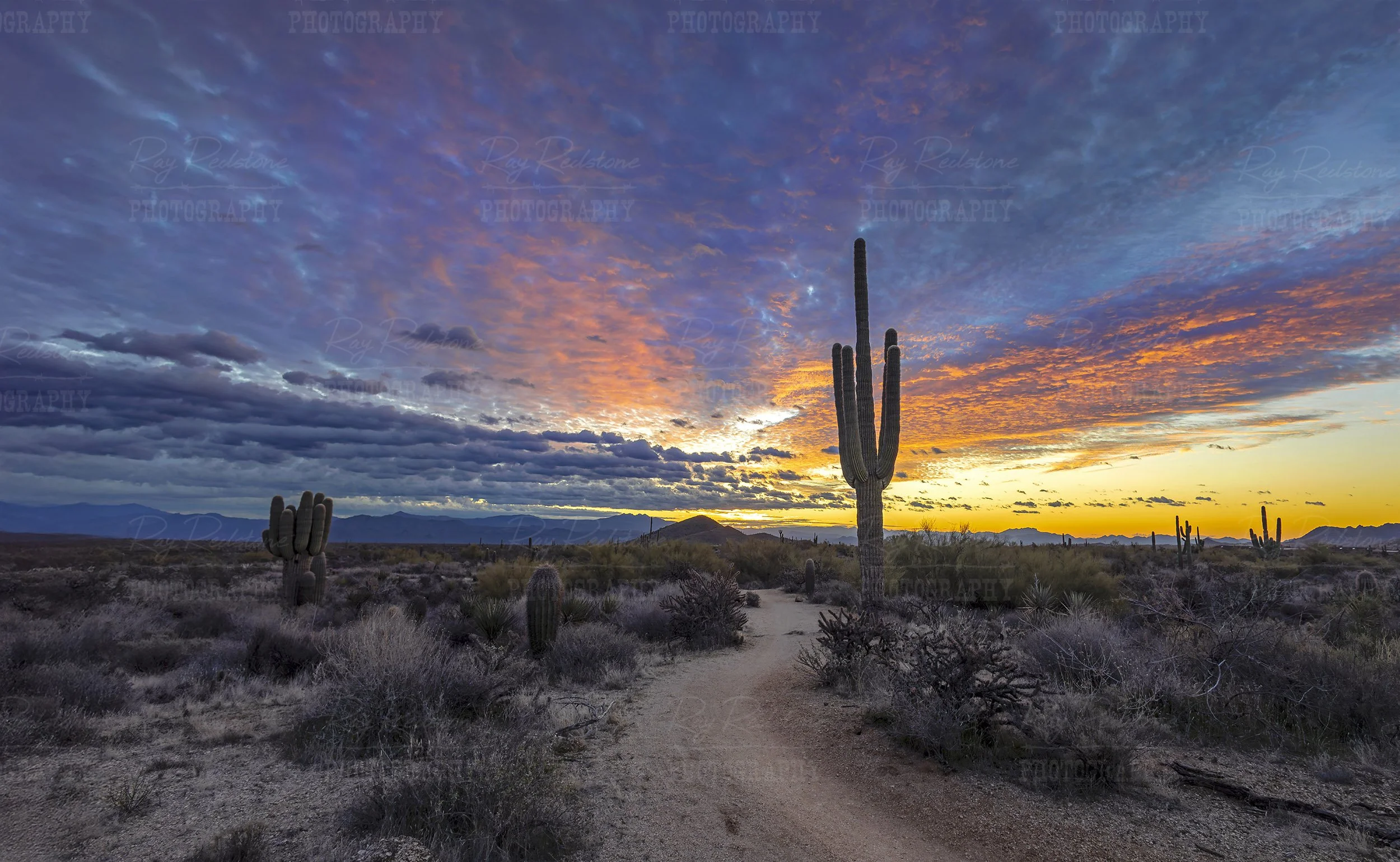 Expansive Desert Sunrise Landscape In North Scottsdale Arizona