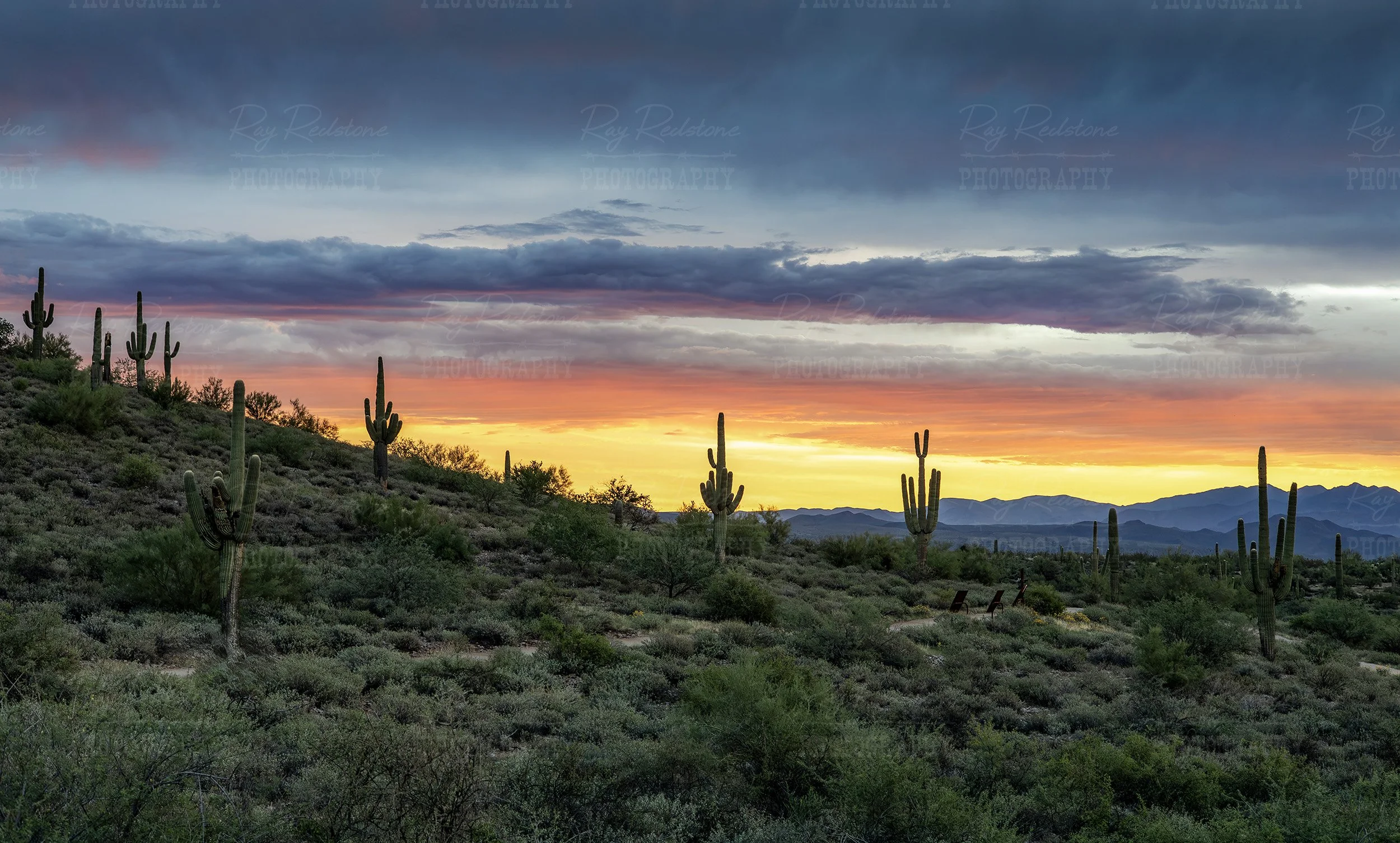 AZ Sunrise With Green Desert Landscape After Summer Rain Storms