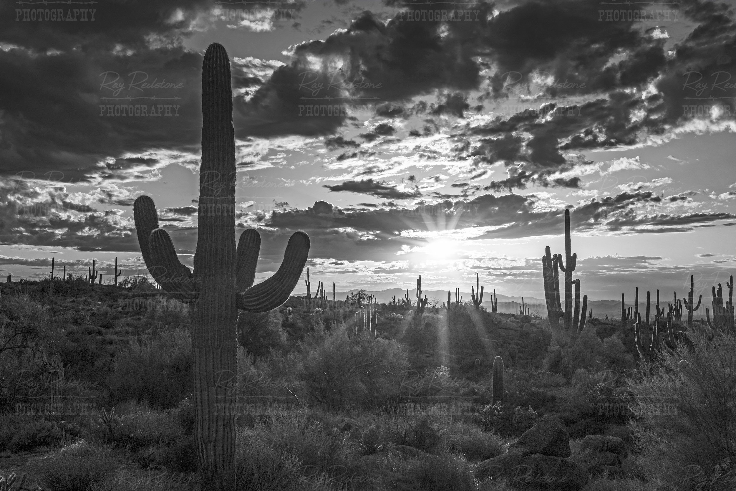 Black & White Arizona Desert Sunset
