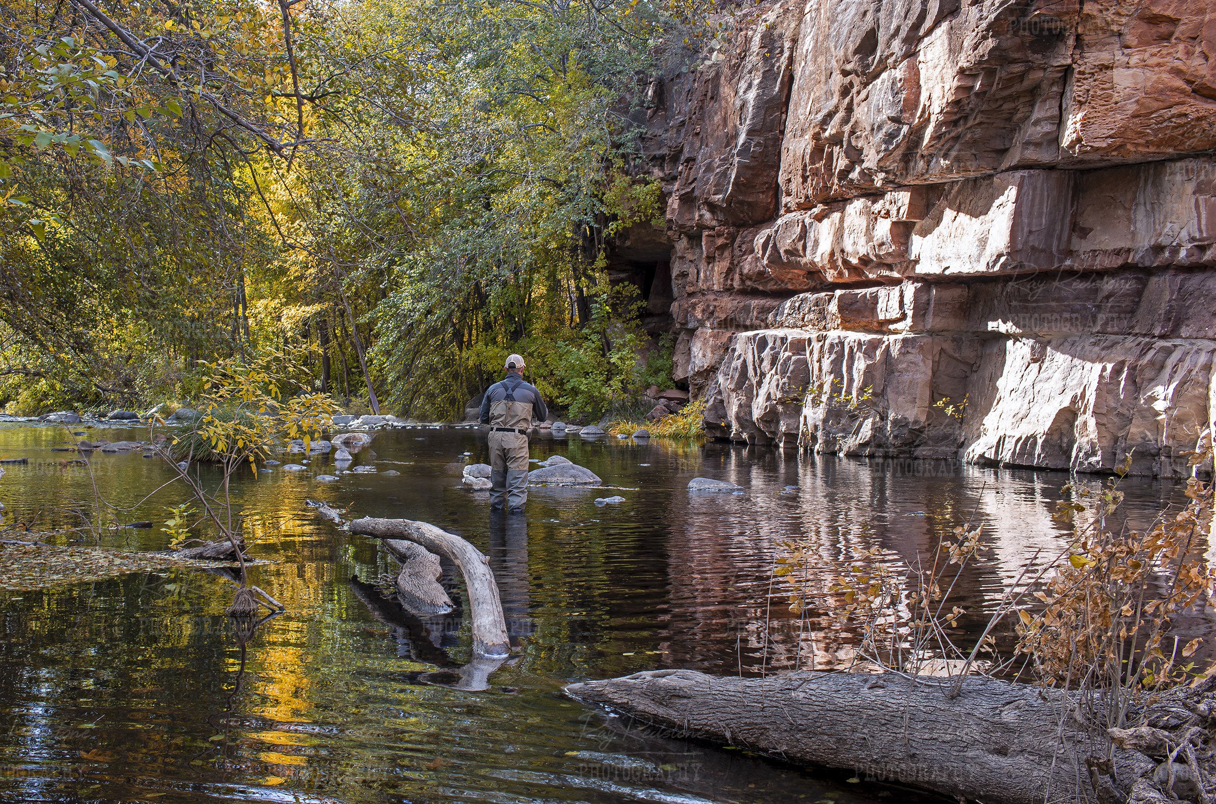 Man Fly-Fishing On Oak Creek In Sedona AZ