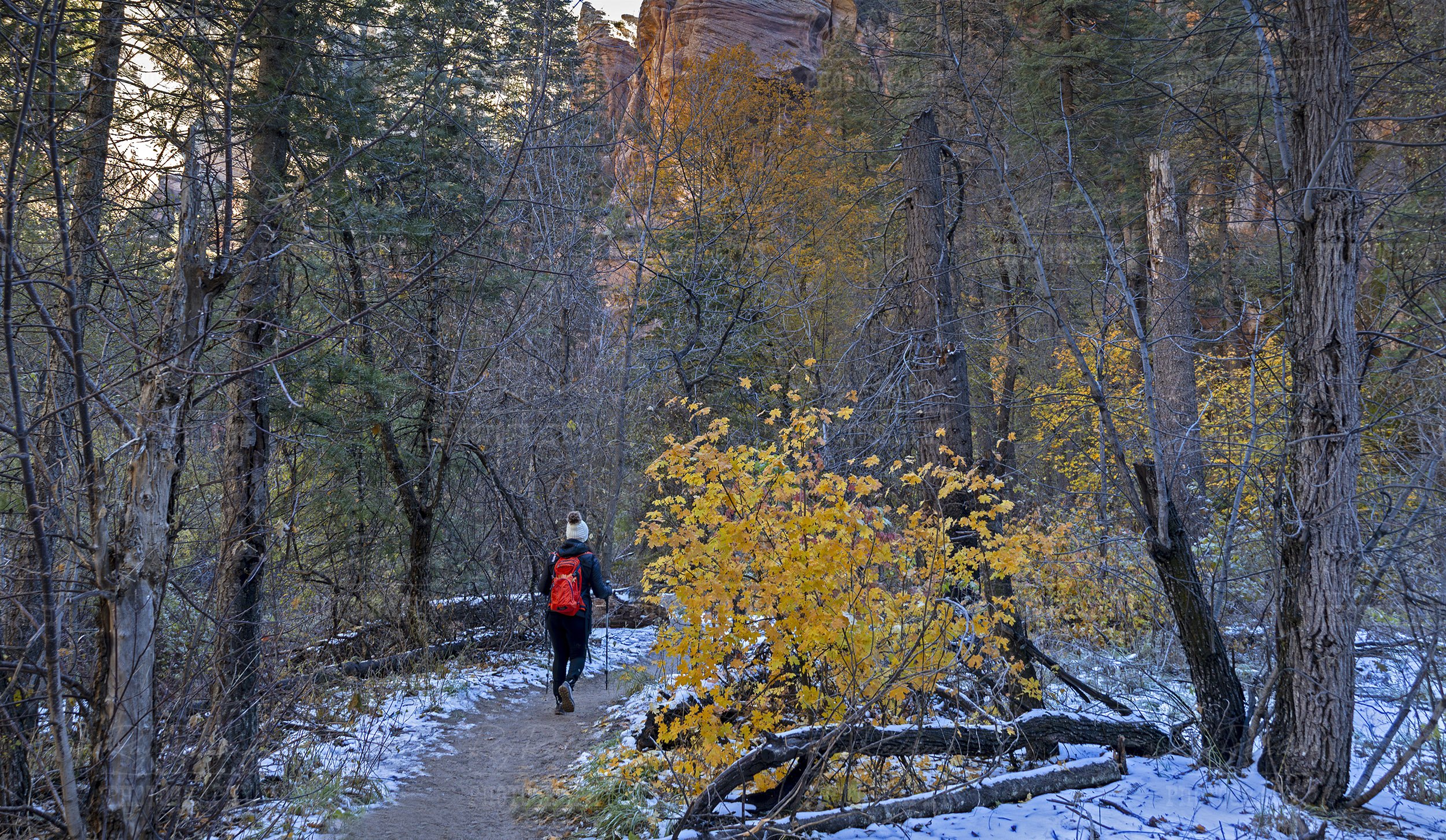 Female Hiker On West Fork Trail Sedona Late Fall