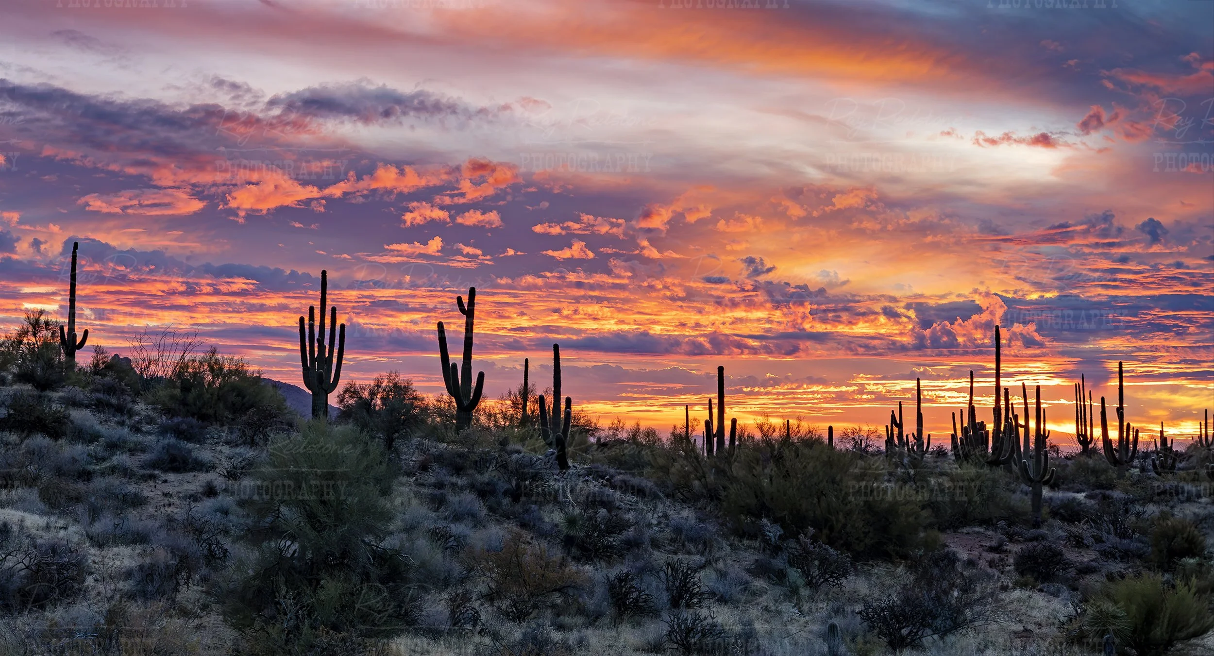 Ultra Wide Ratio Arizona Desert Sunset For Banners