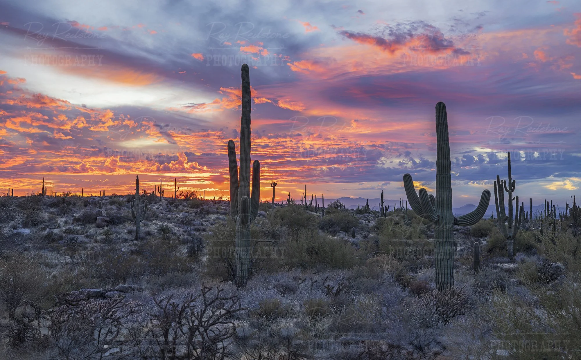 Sunset Skies The McDowell Sonoran Preserve in Scottsdale