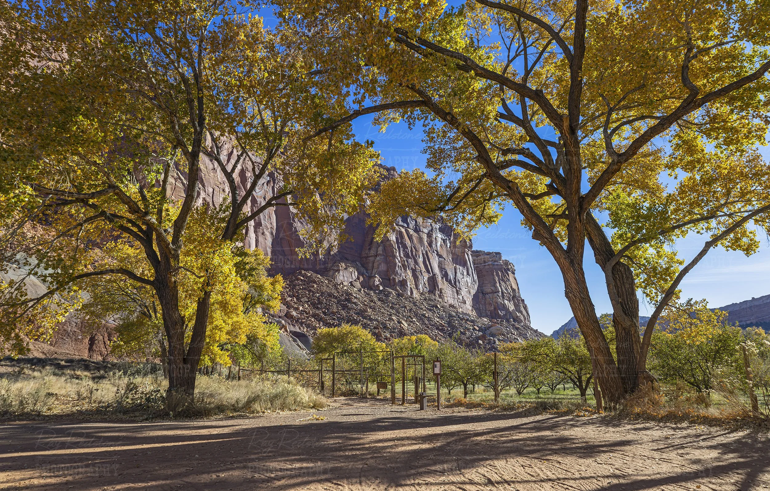 Fall Landscape Scenery In Capitol Reef National Park Utah