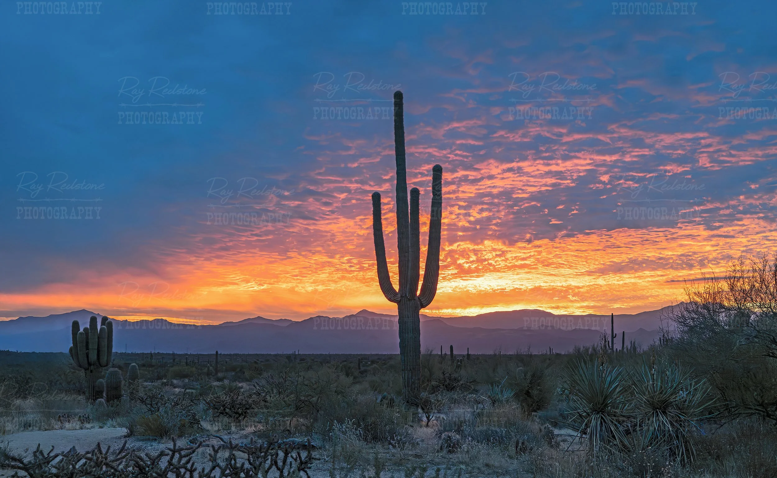 Brilliant Colored Scottsdale AZ Desert Sunrise