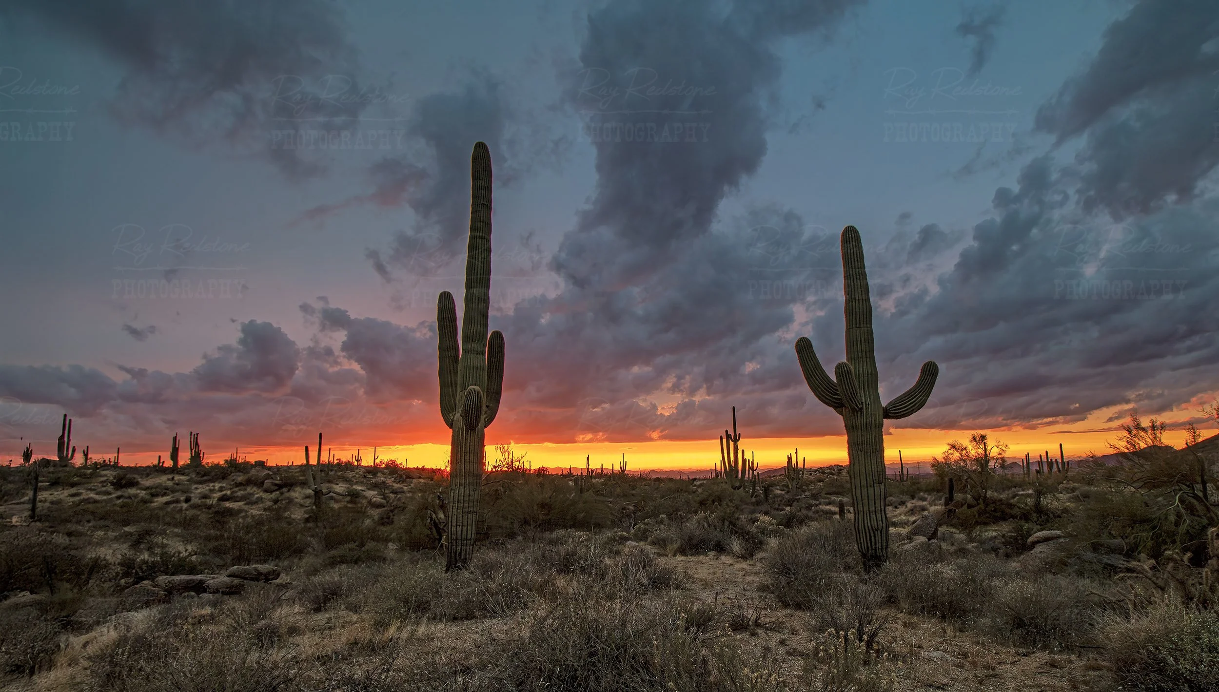 Sky On Fire Desert Sunset Landscape With Cactus