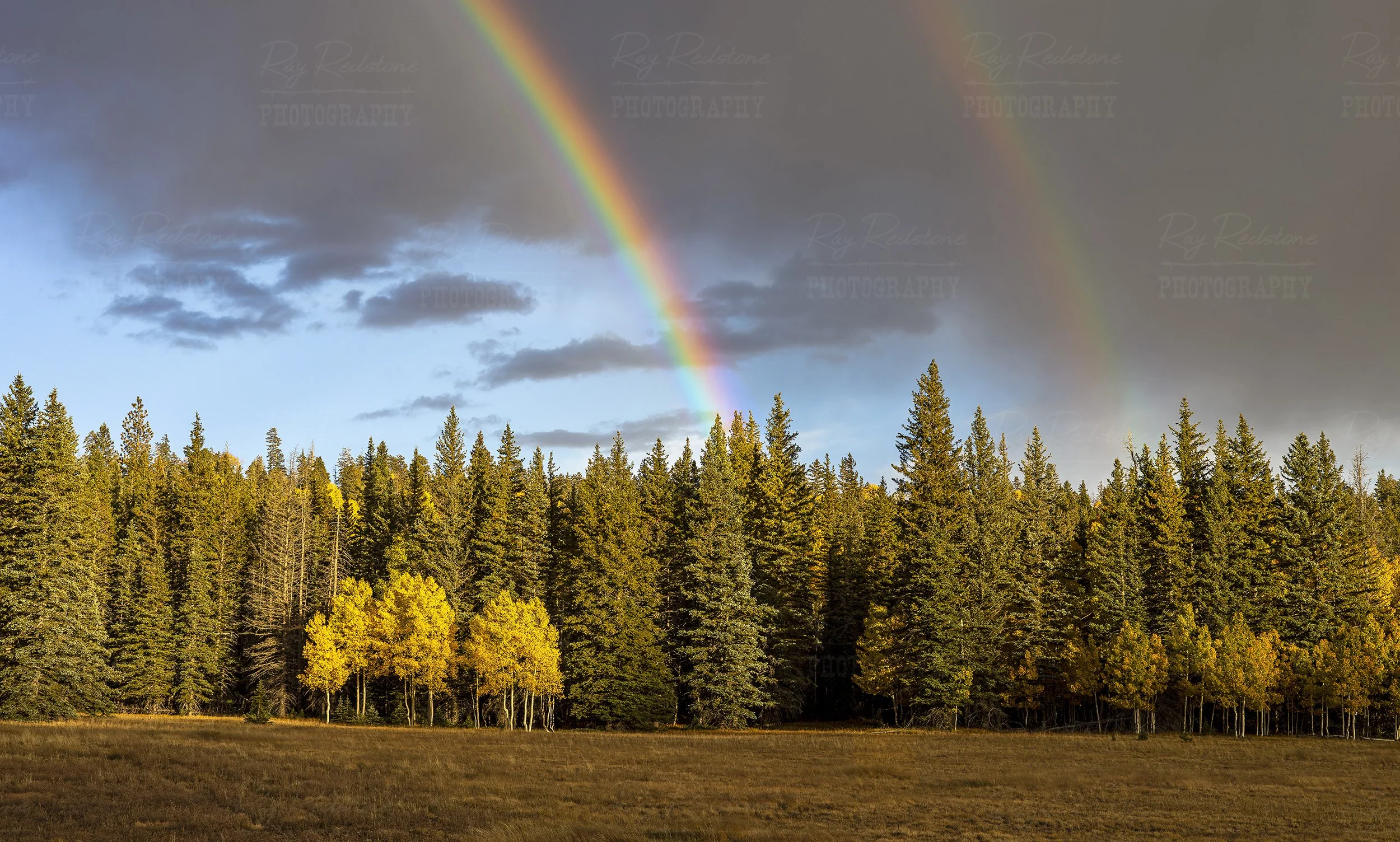 Double Rainbow On The Kaibab Plateau AZ