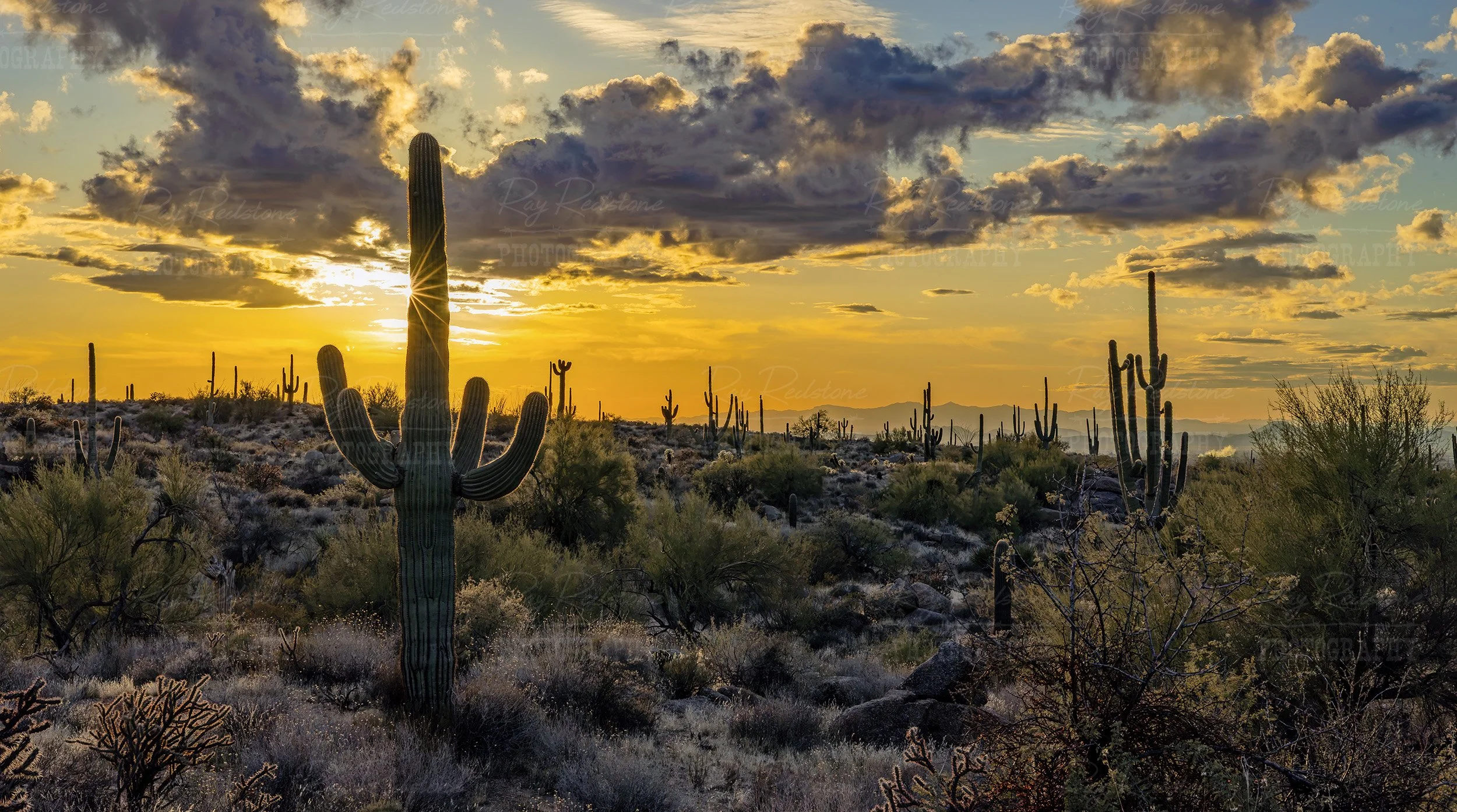 Late Afternoon In The Desert Foot Hills Of North Scottsdale