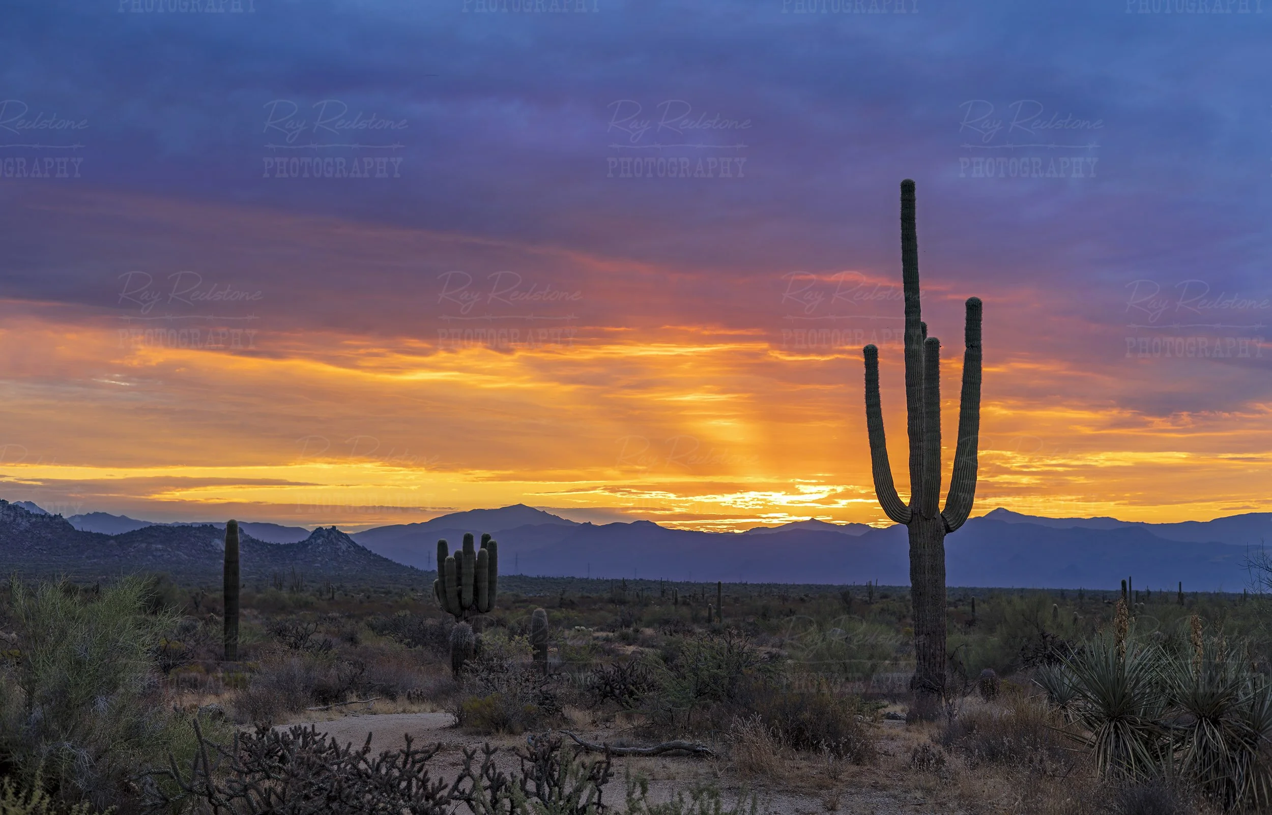 Arizona Desert Sunset &amp; Sunrise Wall Art For Sale | Canvas Prints, Posters