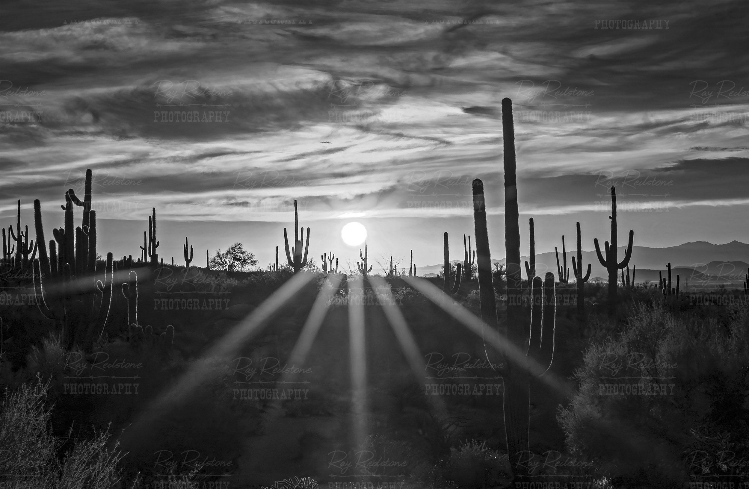 bw-sunrays1-2500-0S8A9112-Enhanced-NR copy.jpg