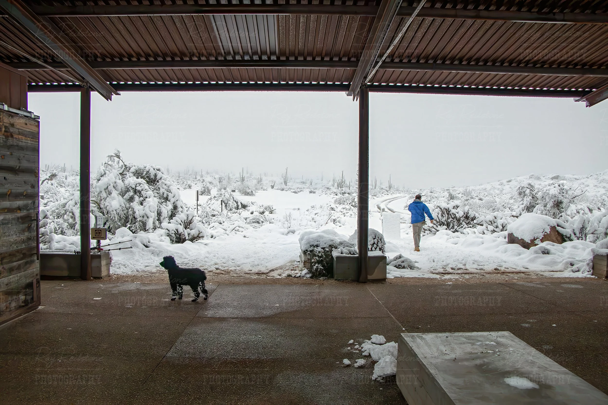 Browns Ranch Trailhead In Scottsdale AZ After Snow Storm