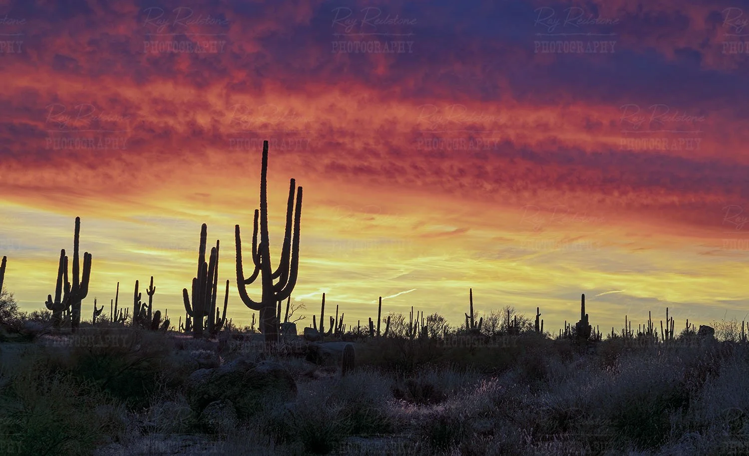 Pano desert sunrise