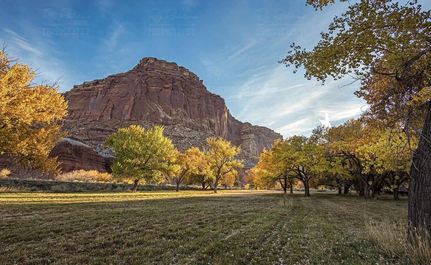 Capitol Reef Park Fall Time 