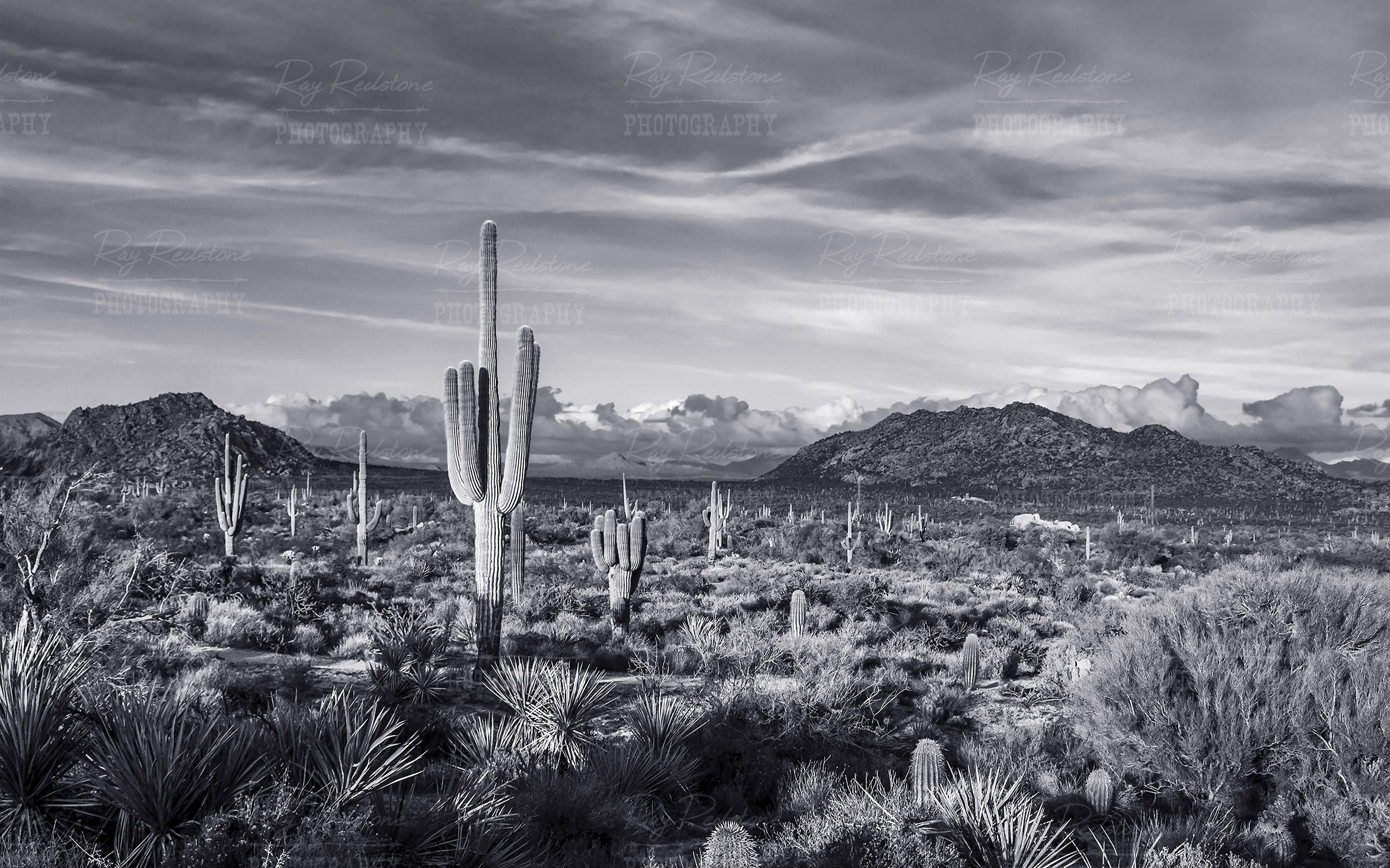 black and white AZ desert landscape