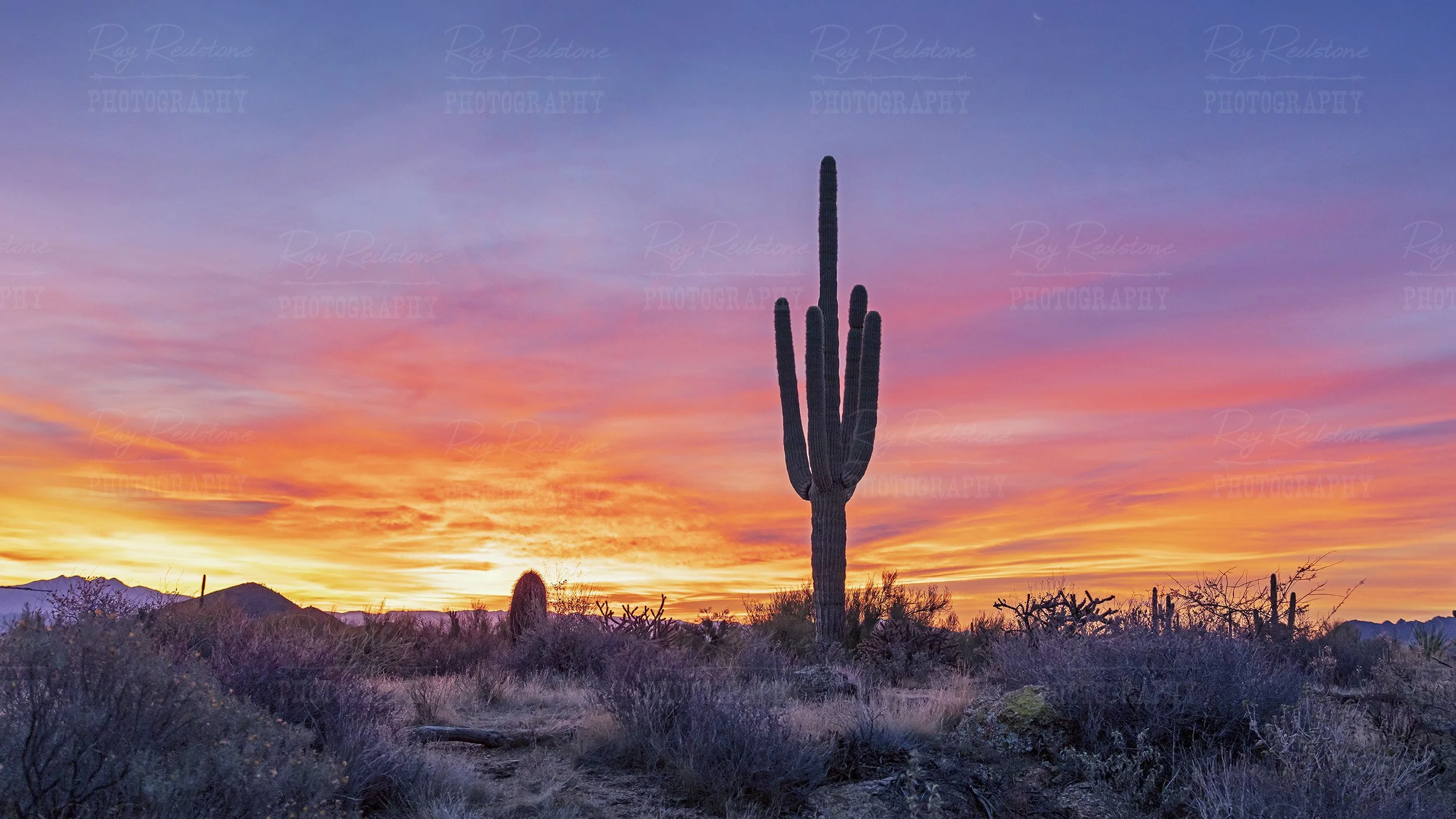 Vibrant Orange Desert Sunrise Photo