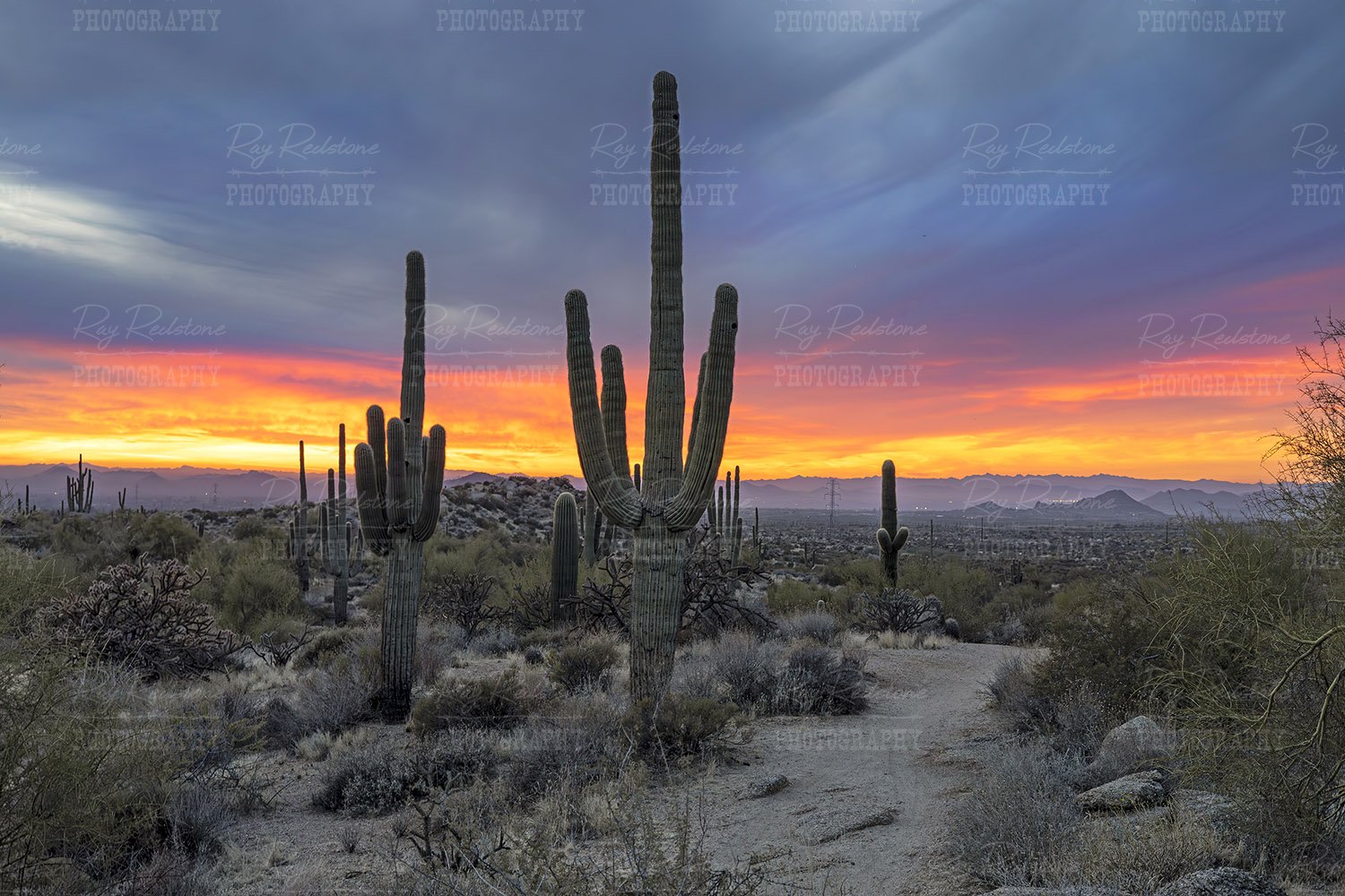 Scottsdale Sunset
