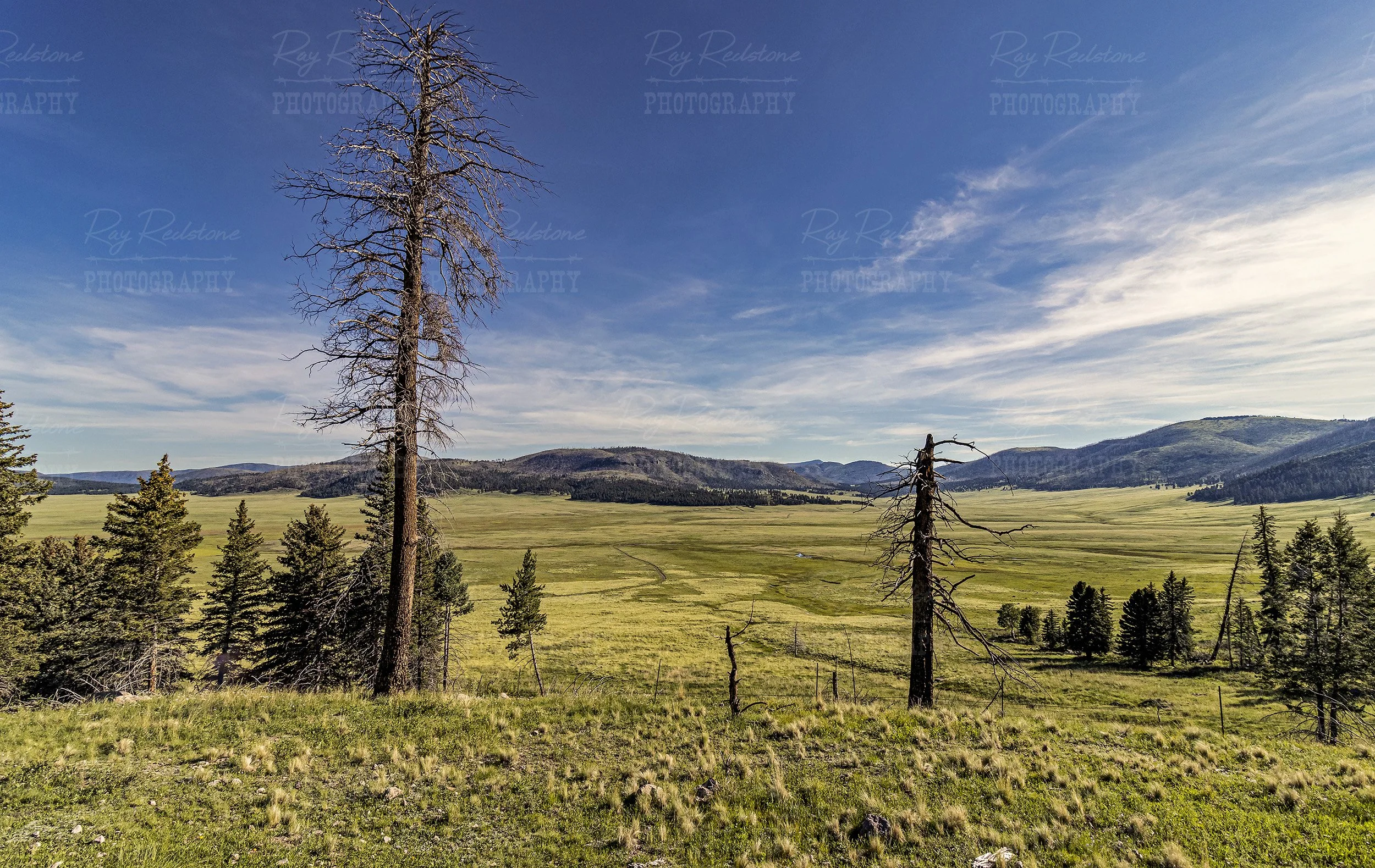 Valles Caldera Landscape