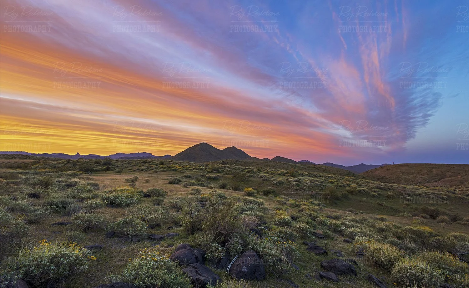 Panoramic desert sunrise