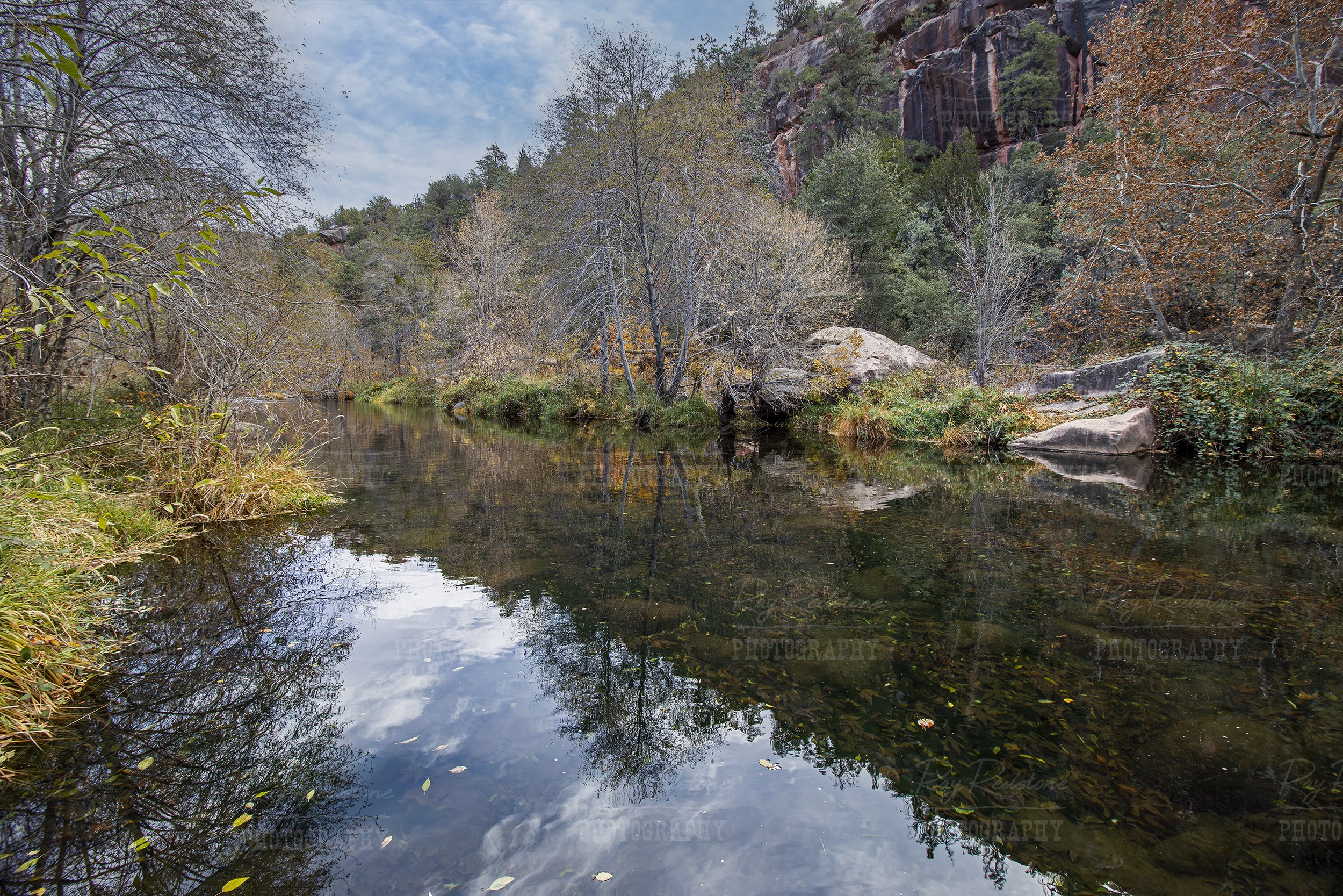 Fall Reflection On Oak Creek In Sedona AZ