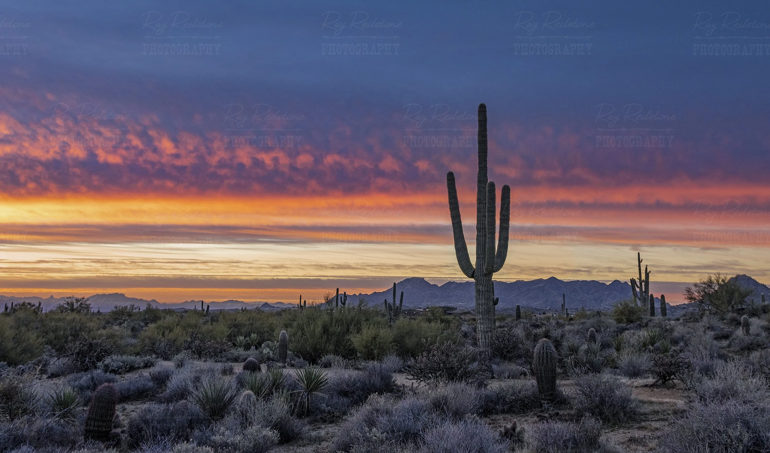 Colorful Panoramic Scottsdale Arizona Desert Sunrise Landscape