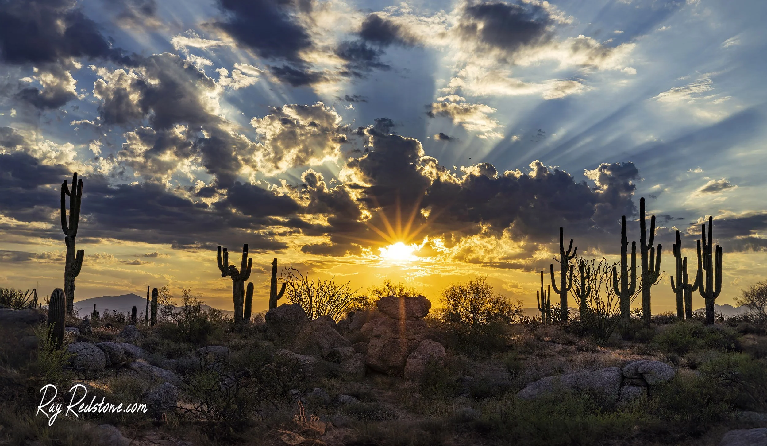 Scottsdale AZ Sunrise Landscape