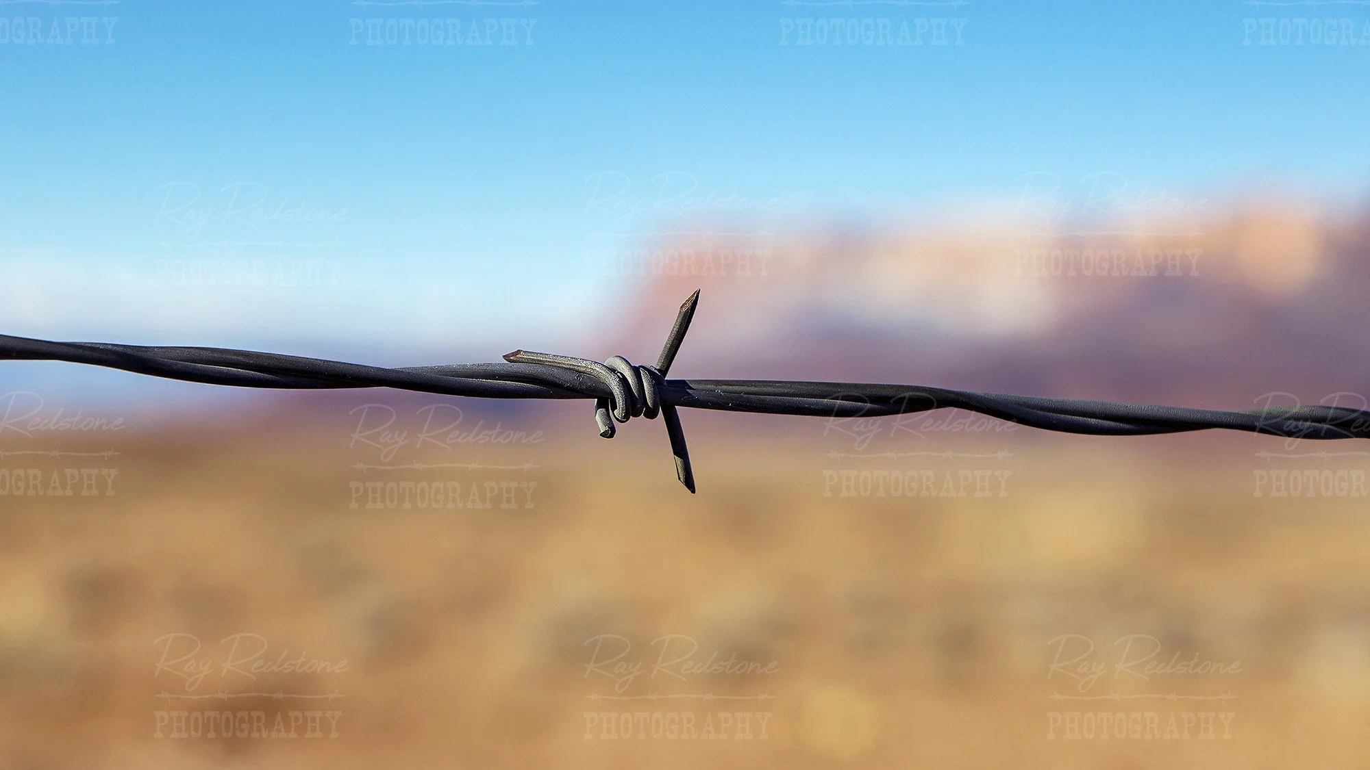 Barbed Wire Close Up