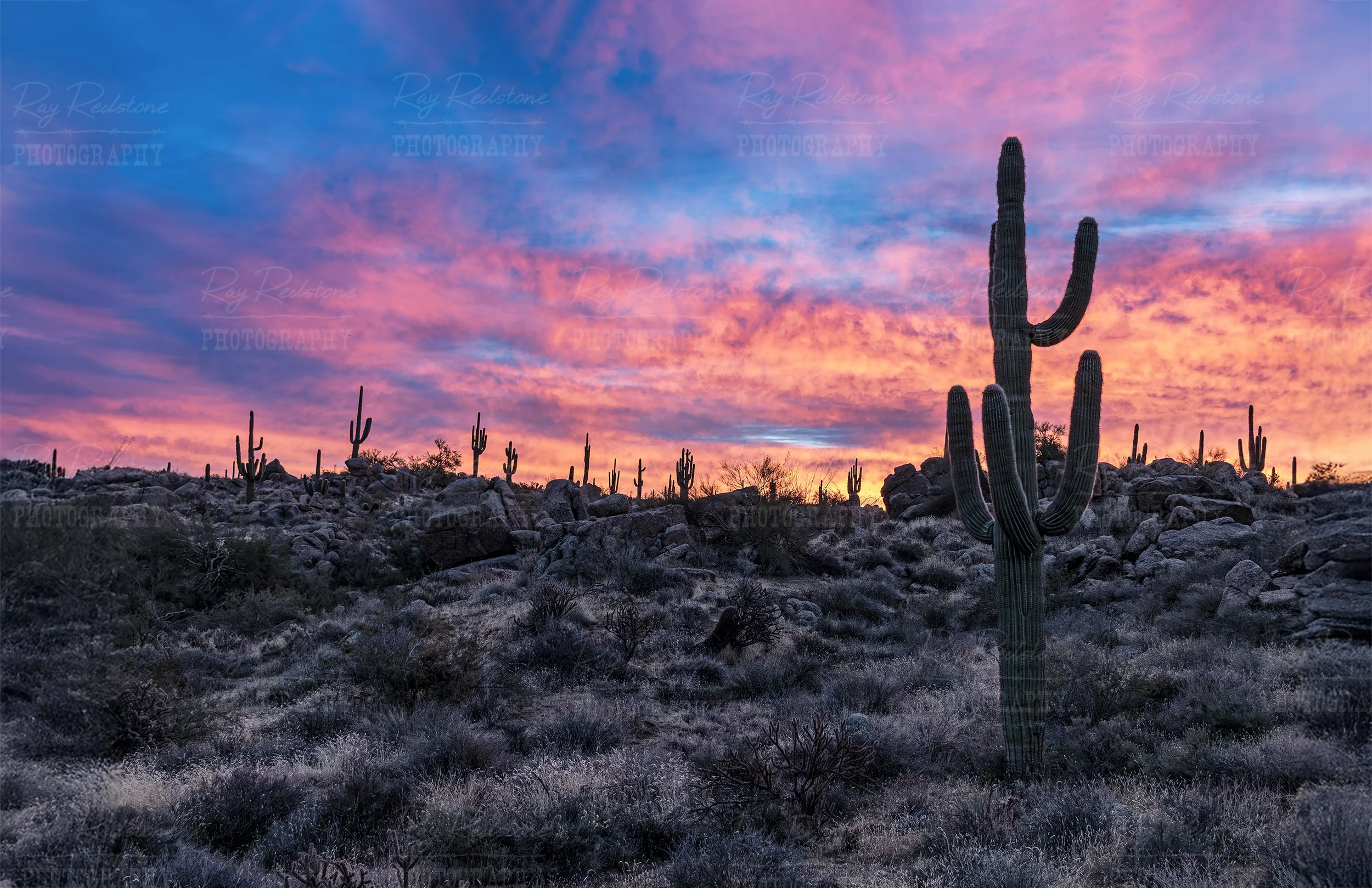 Sky On Fire Sunrise In The AZ Desert