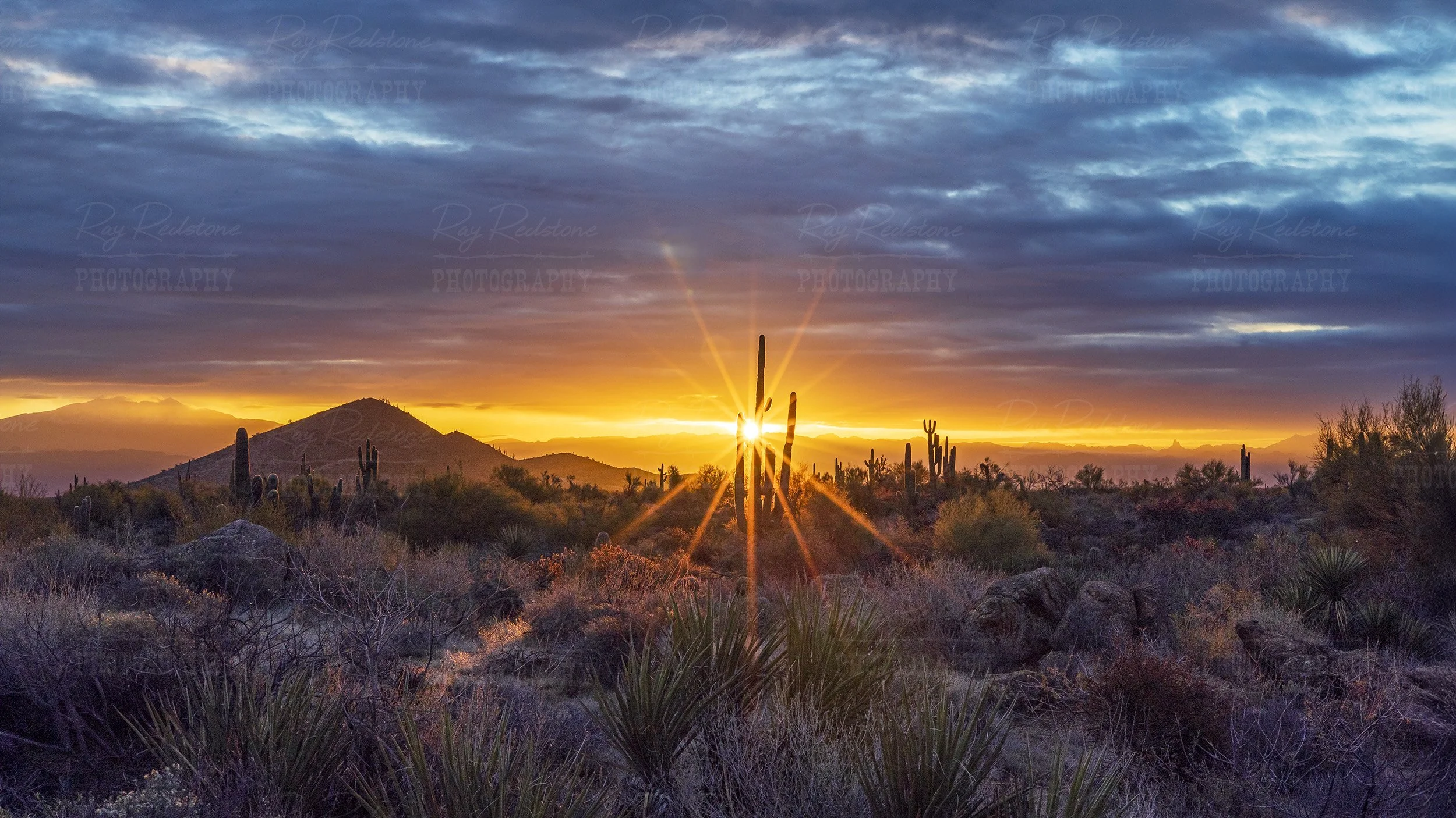 Desert Sunrise Starburst