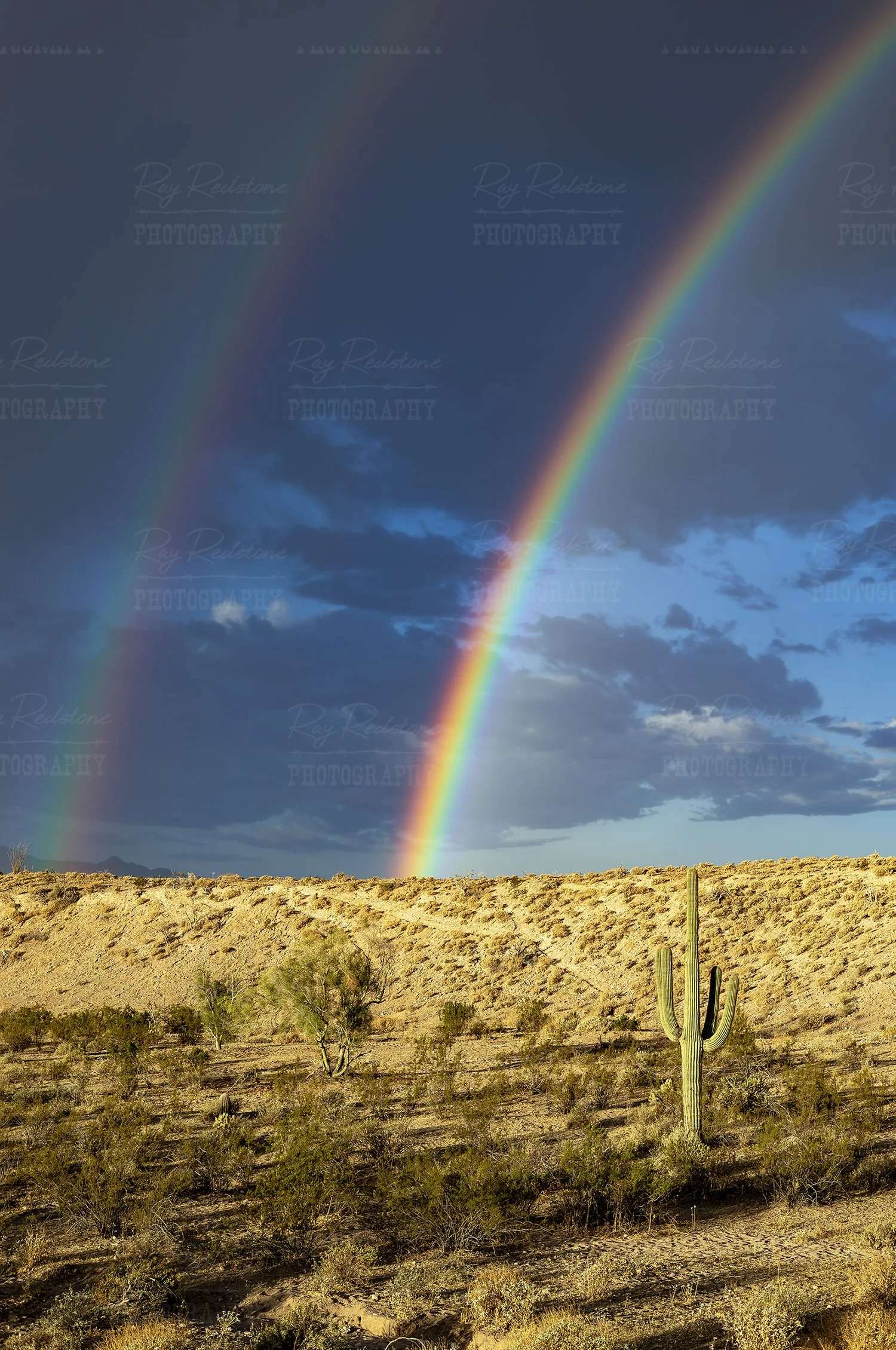 Vertical View Double Rainbow