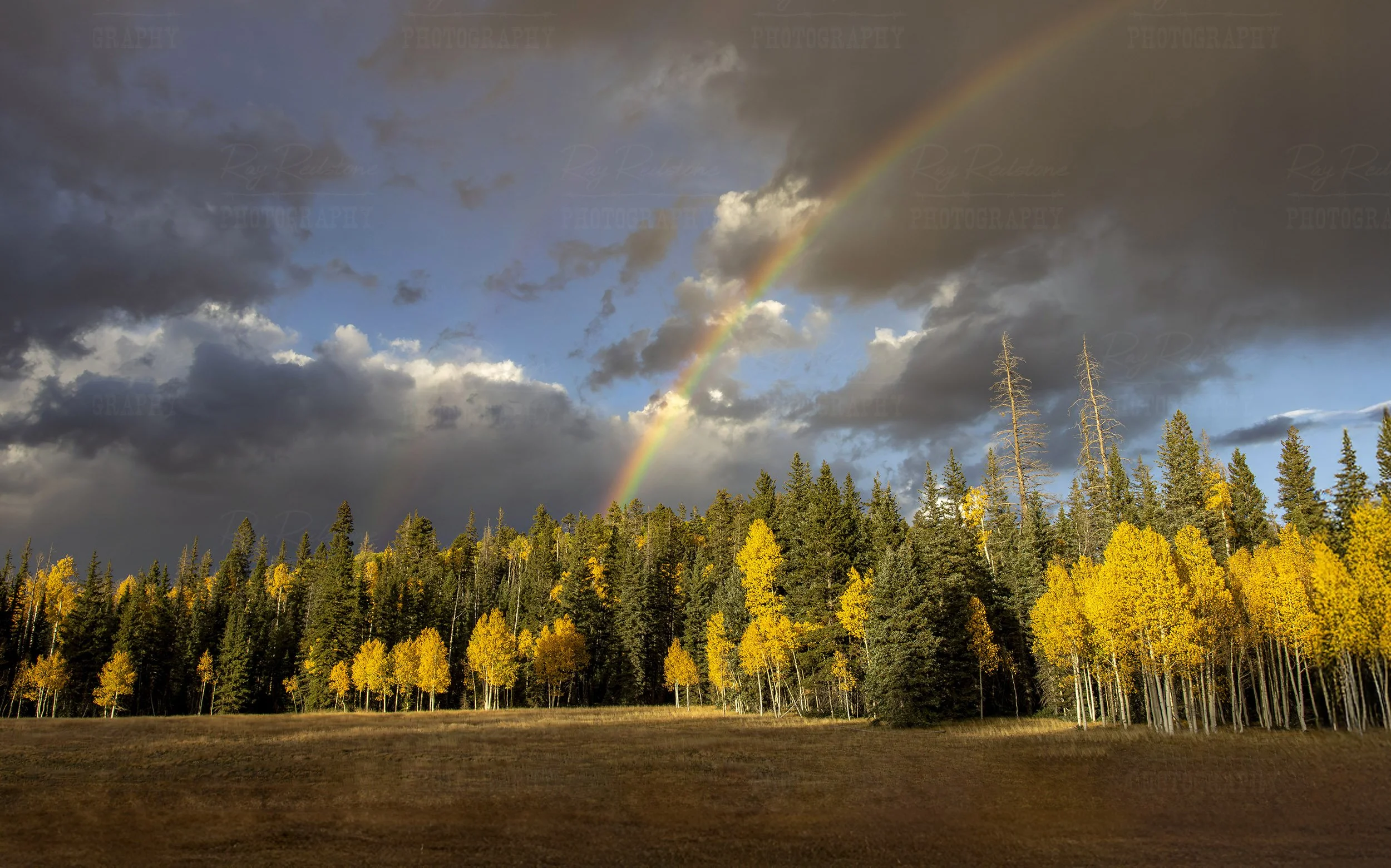Rainbow Near Entrance Of North Rim Grand Canyon Park