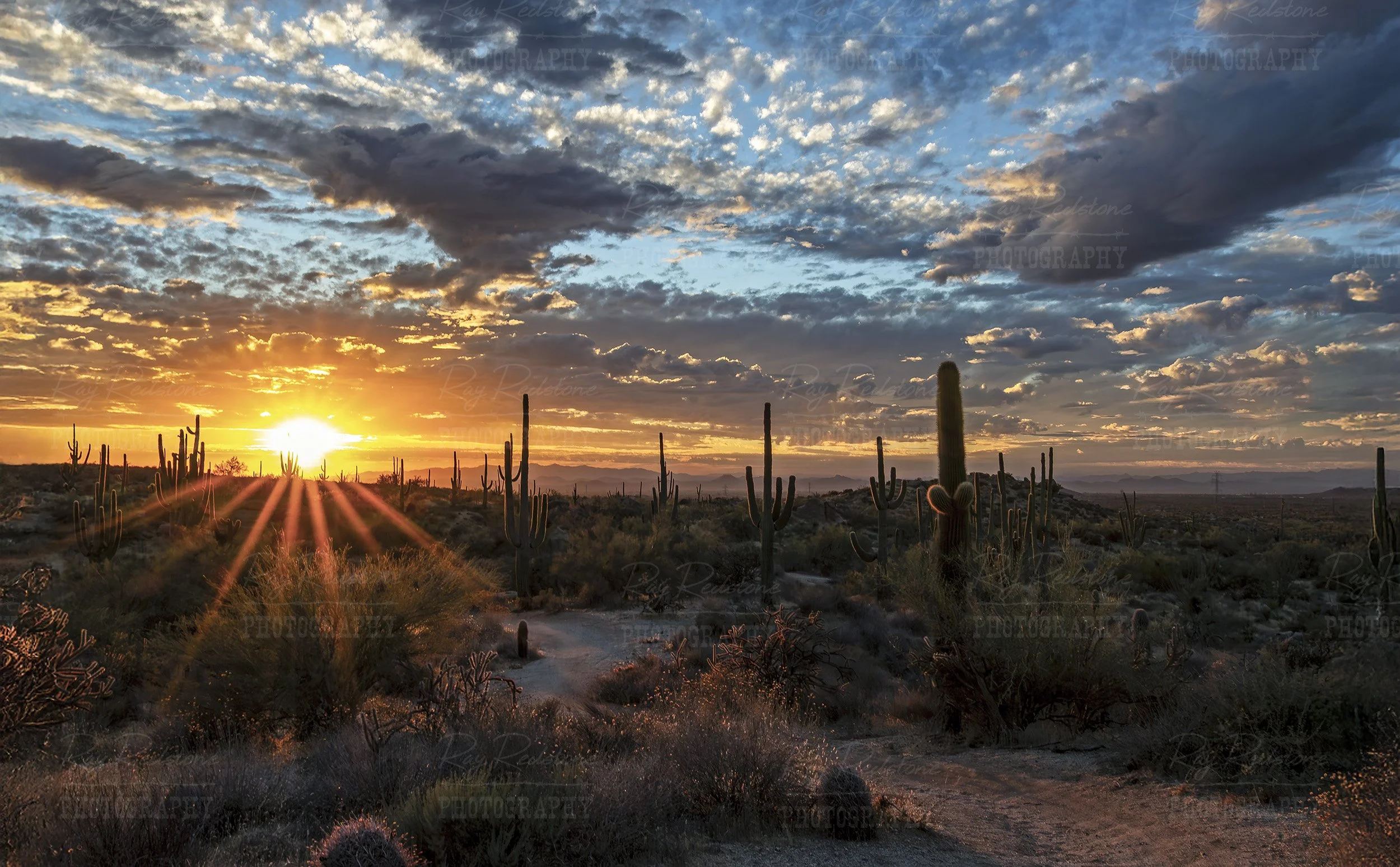 desert-setting-sun2b-6000px-IMG_4502-2500wm.jpg