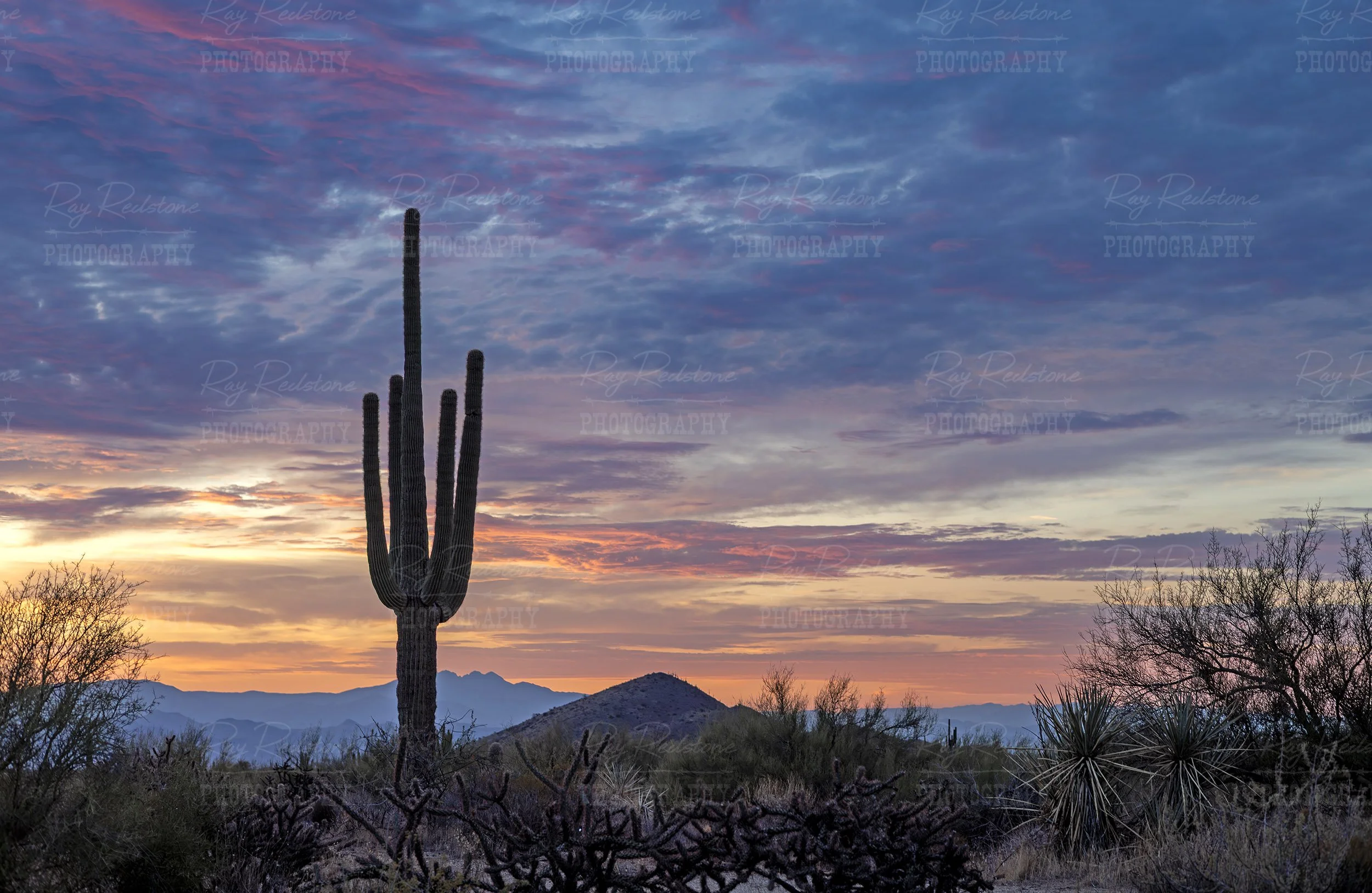 Scottdale Arizona Desert Sunrise