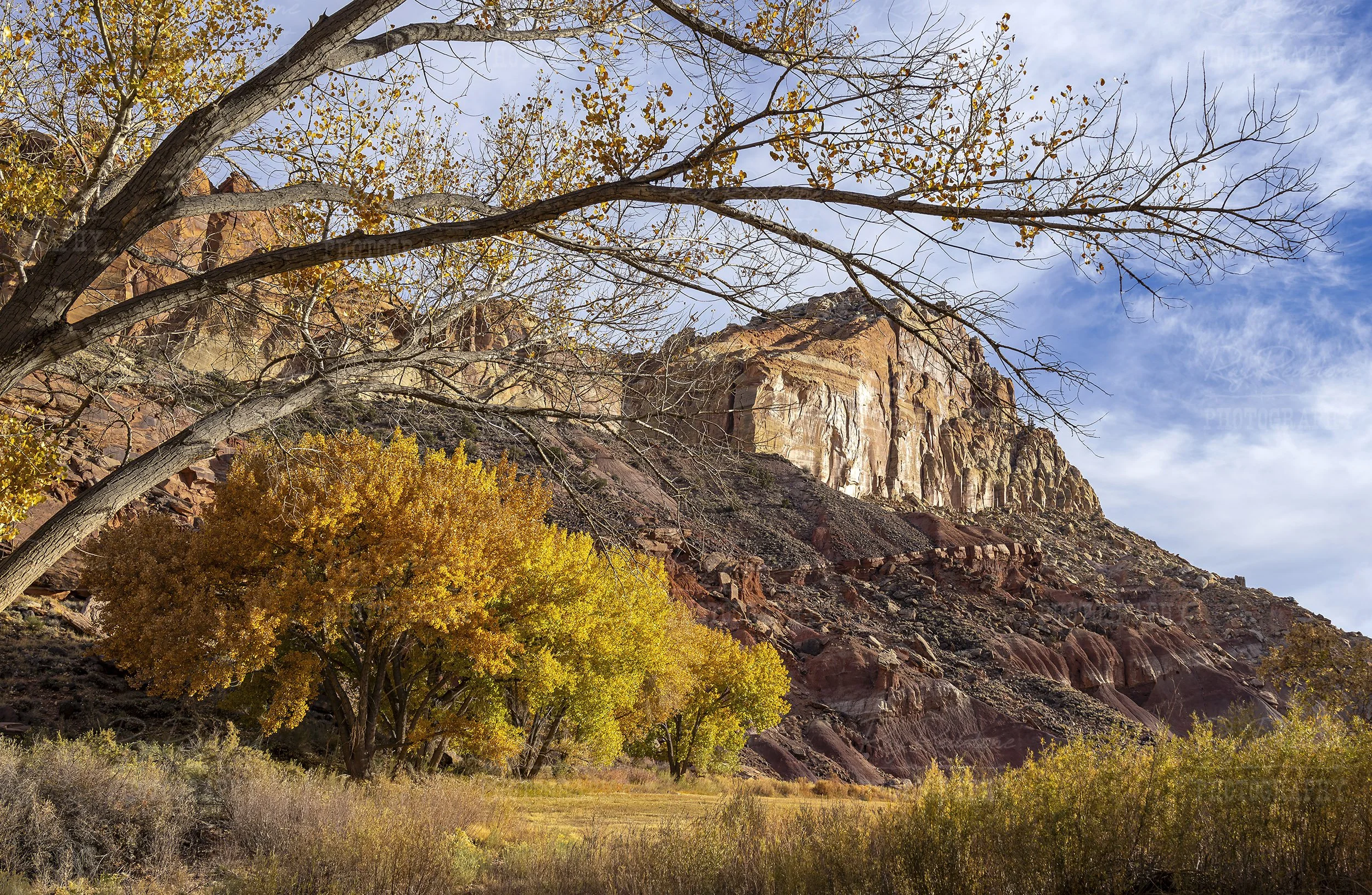 Colorful Fall Scenery Capitol Reef Park In Utah