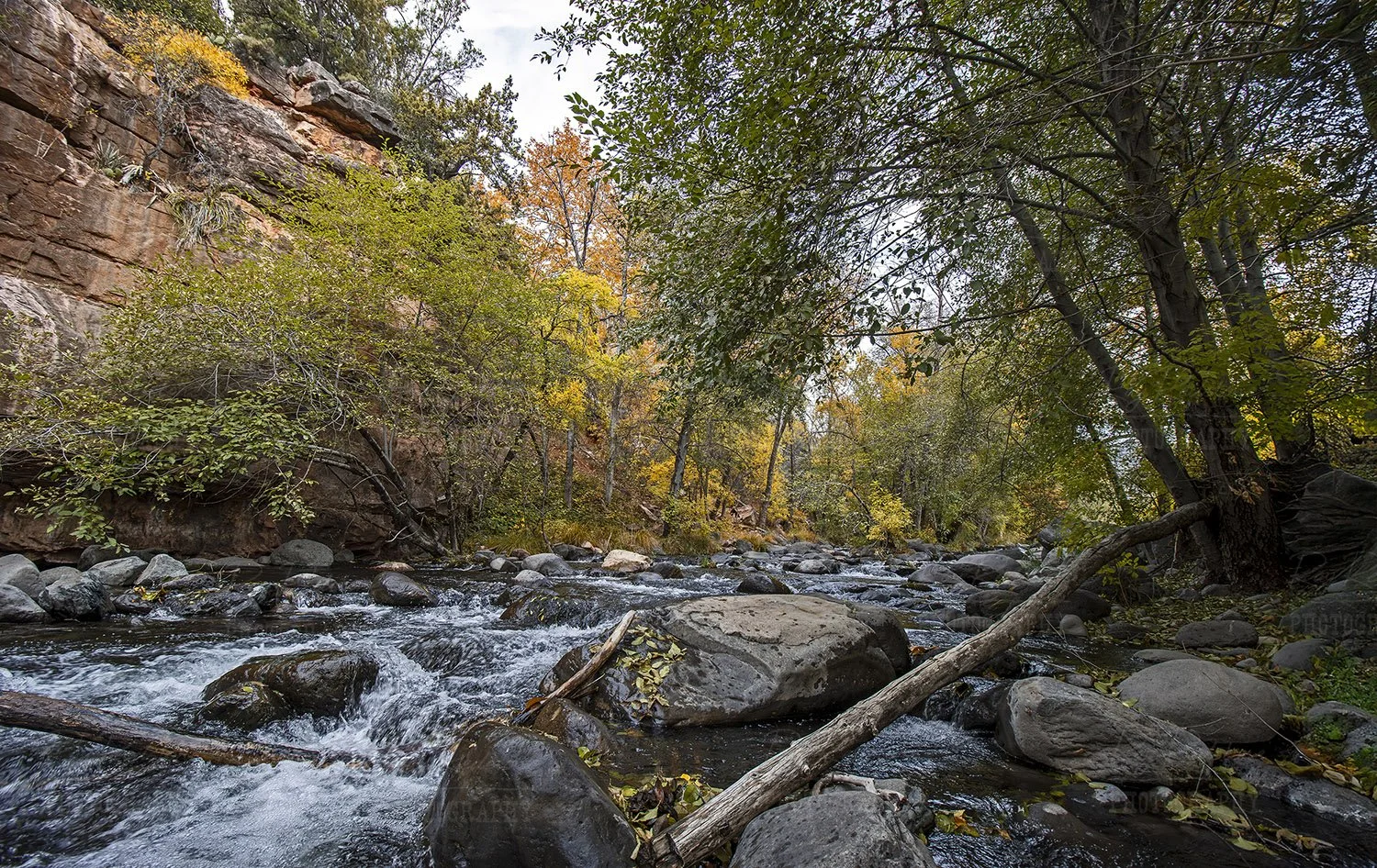 Oak Creek In Sedona