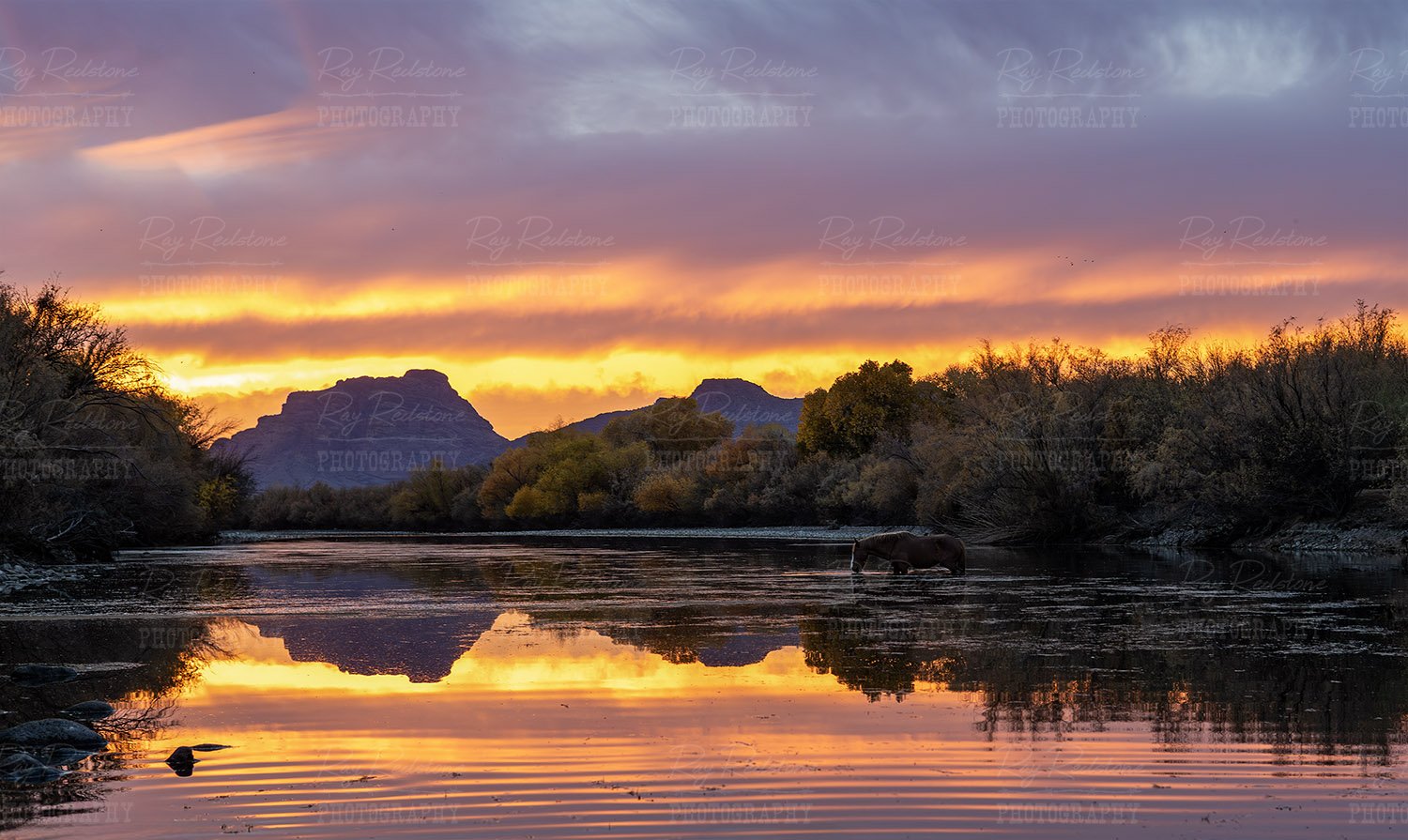 Sunset On The Salt River 
