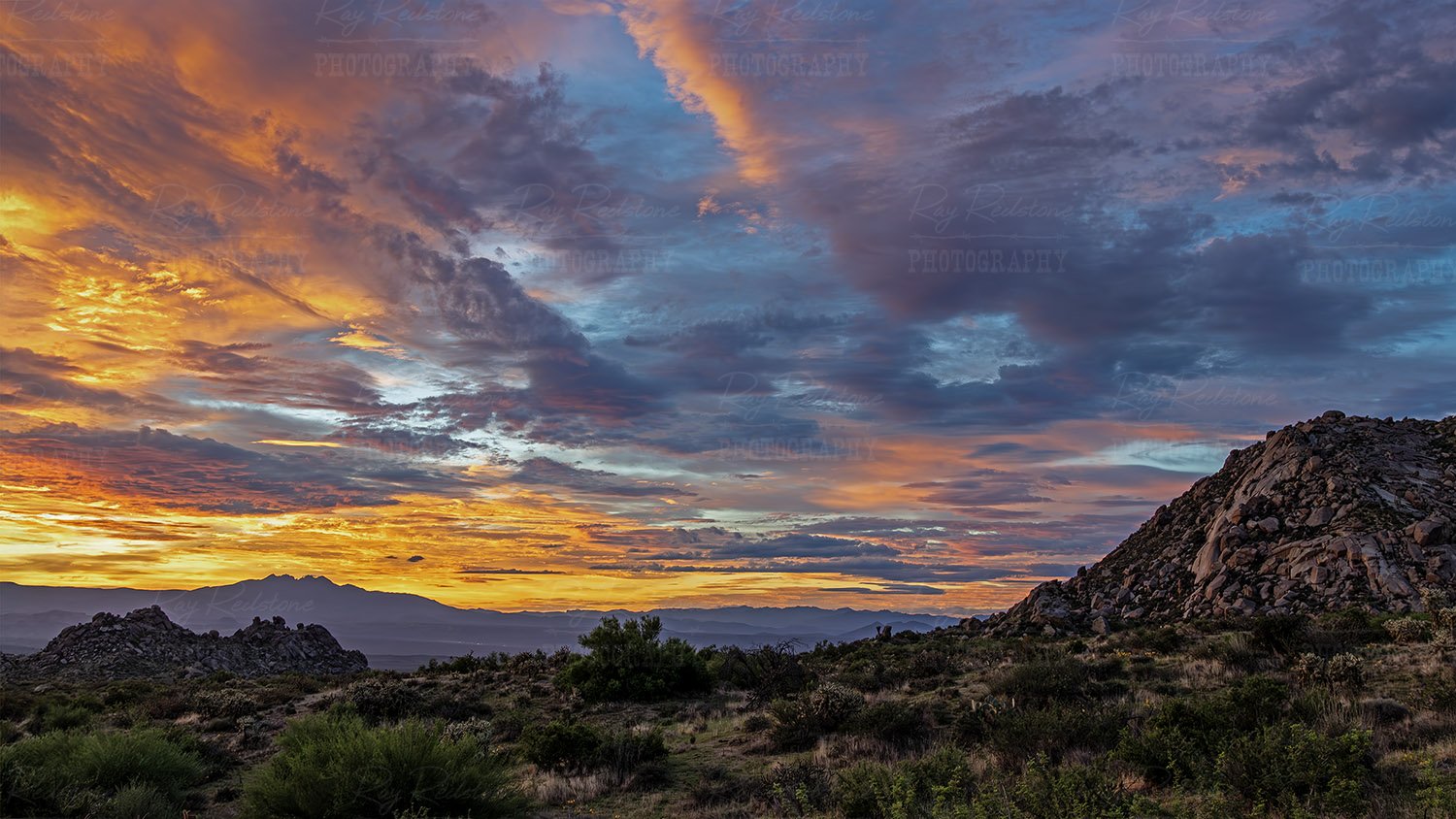 vibrant-sunrise-skies-toms-thumb-IMG_0673-1500.jpg