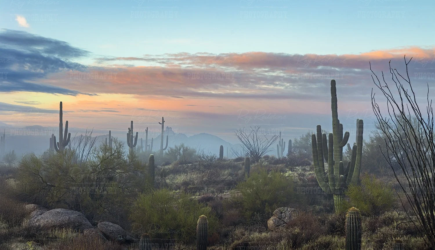 Misty desert sunrise in Scottsdale 