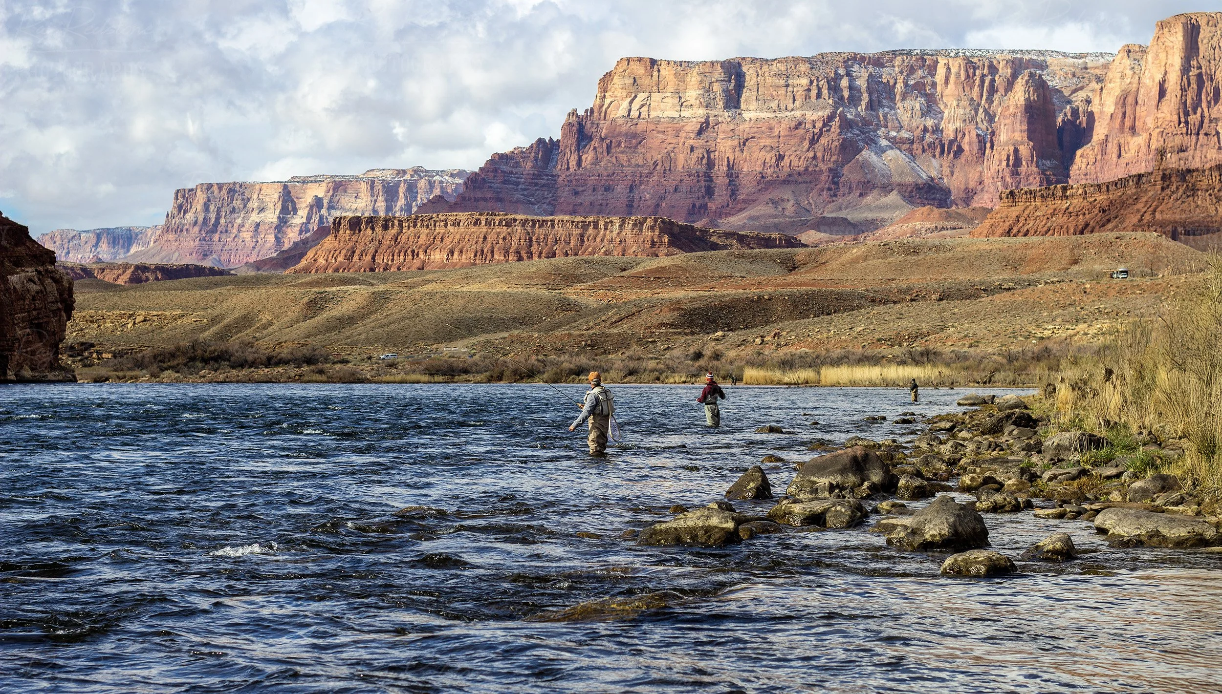 Fly Fishing At Lees Ferry