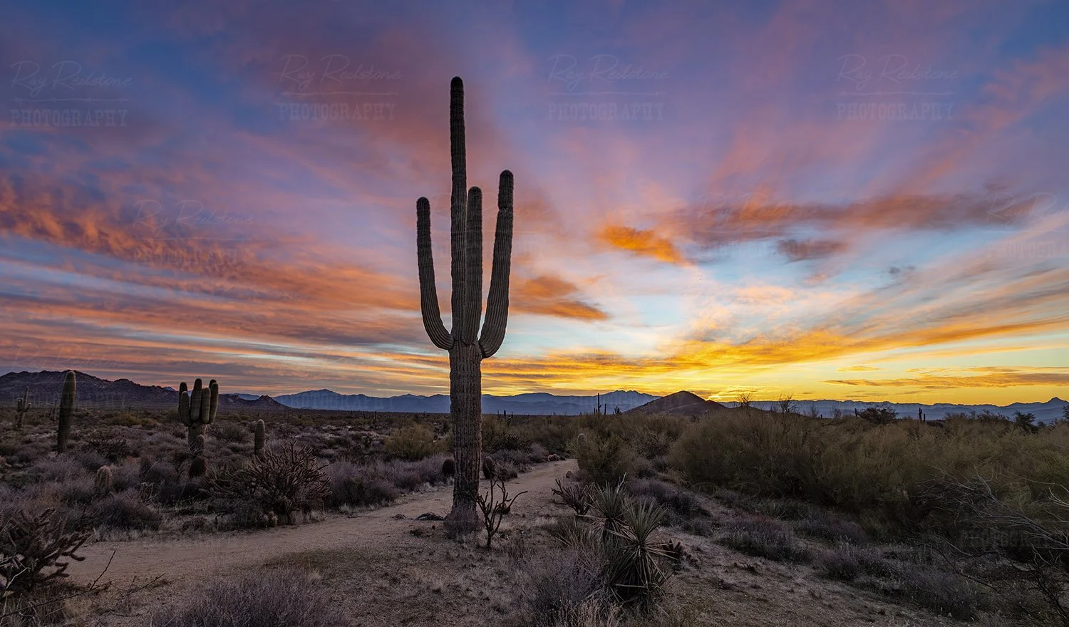 Sunrise Browns Ranch Scottsdale AZ
