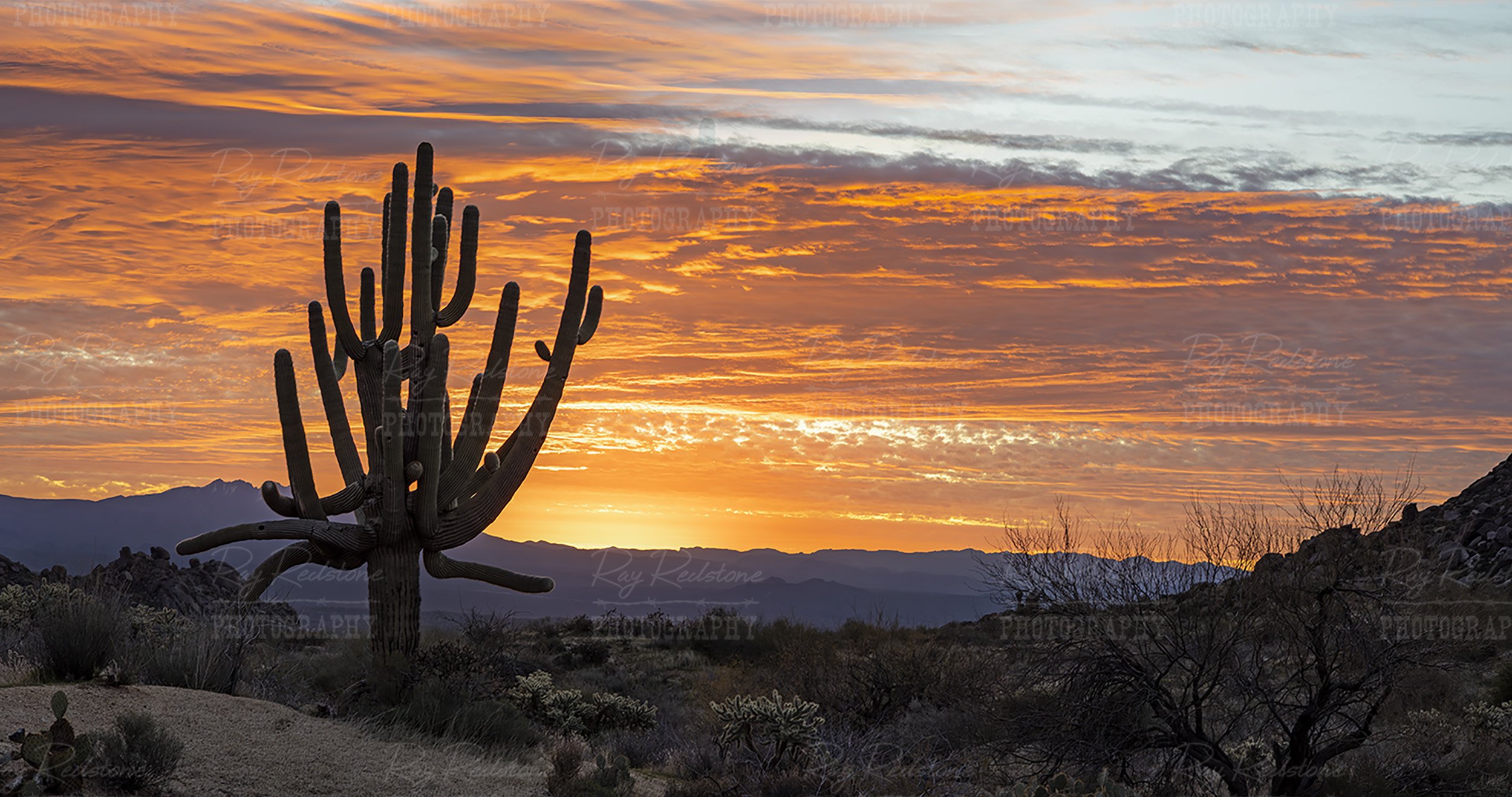 Ultra Wide Arizona Desert Sunrise For Wall Art