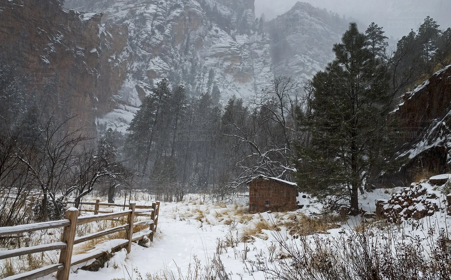 West Fork Trail With Snow